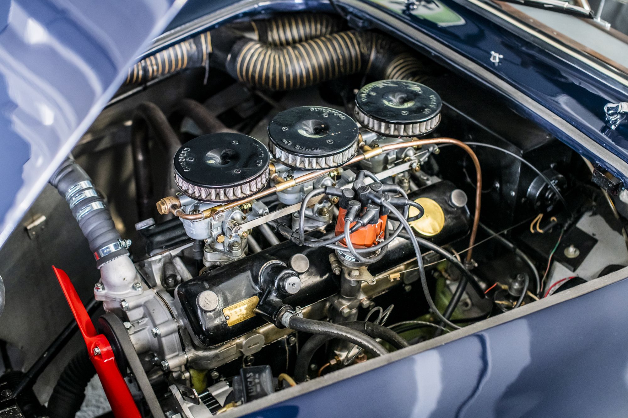 1957 AC ACECA BRISTOL, foto 12
