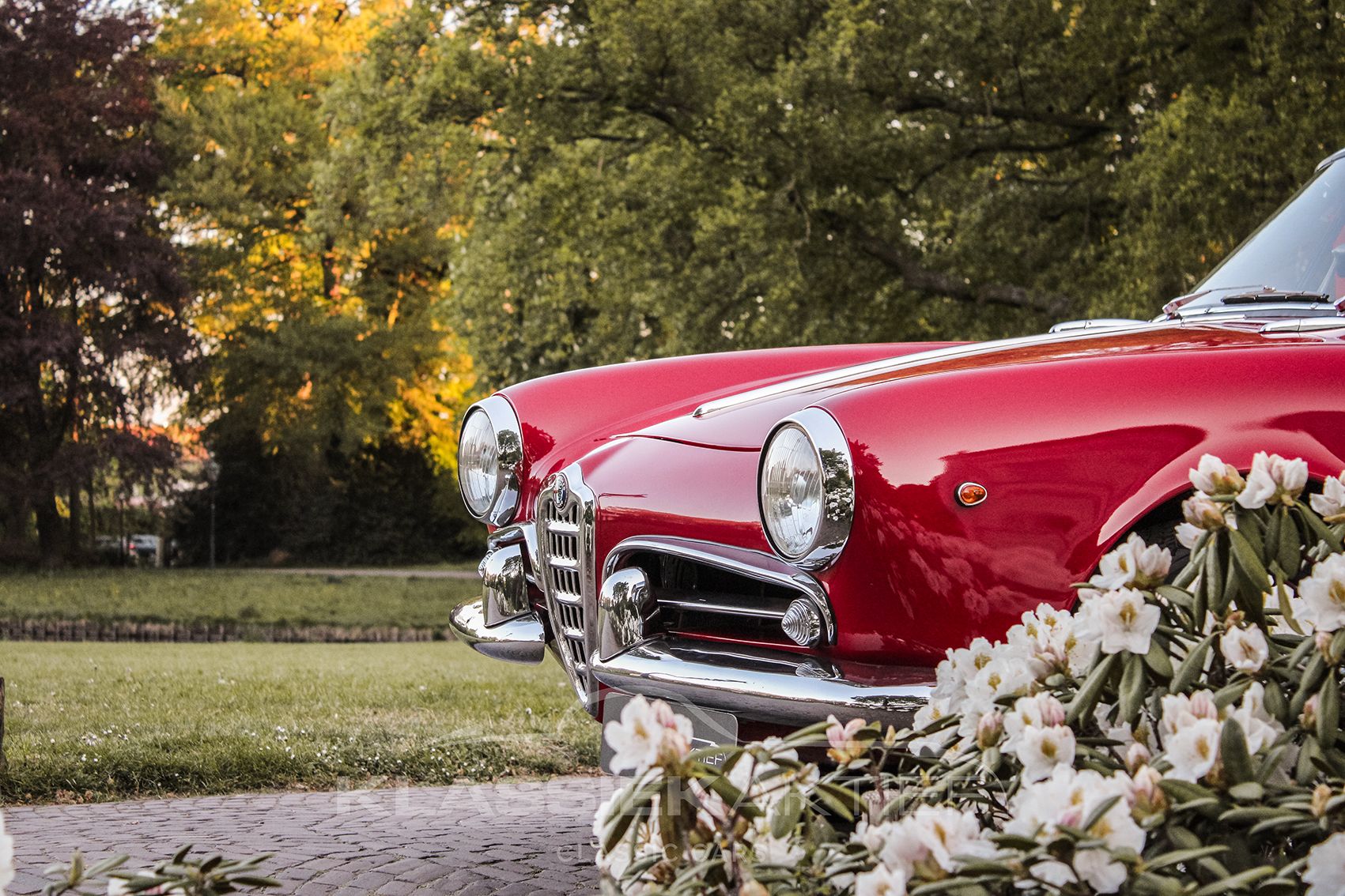 1962 Alfa Romeo Giulietta Type 750/101 (1954 - 1965) Spider, foto 3