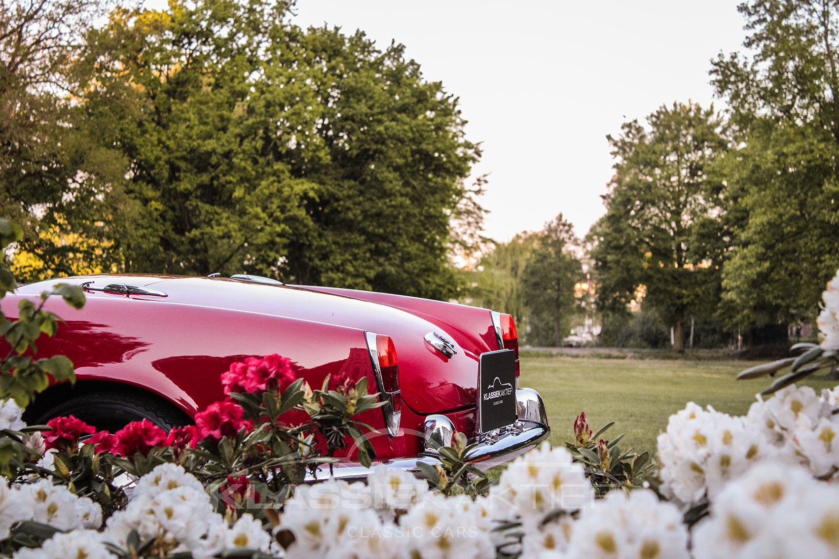1962 Alfa Romeo Giulietta Type 750/101 (1954 - 1965) Spider, foto 12