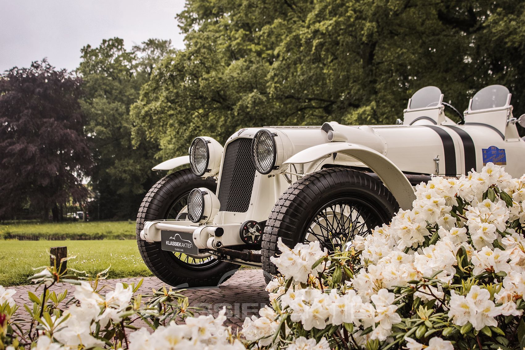 1950 Alvis 3.0 Litre Special Grand Prix, foto 3