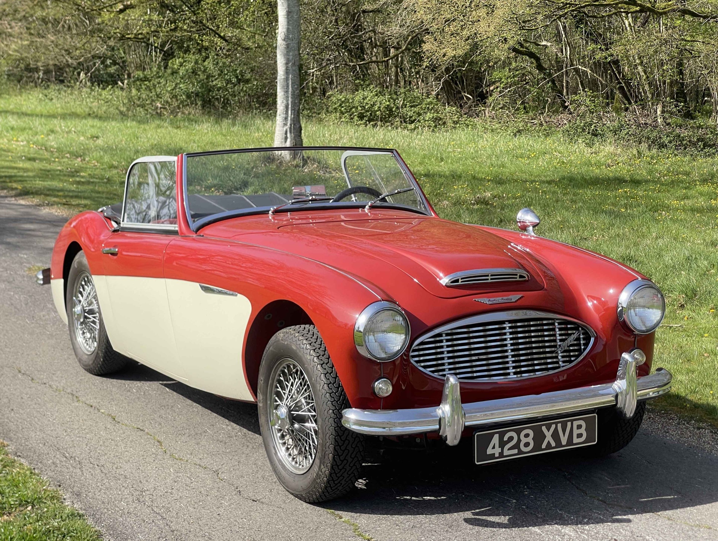 Austin Healey 3000 MK1 LHD, foto 1