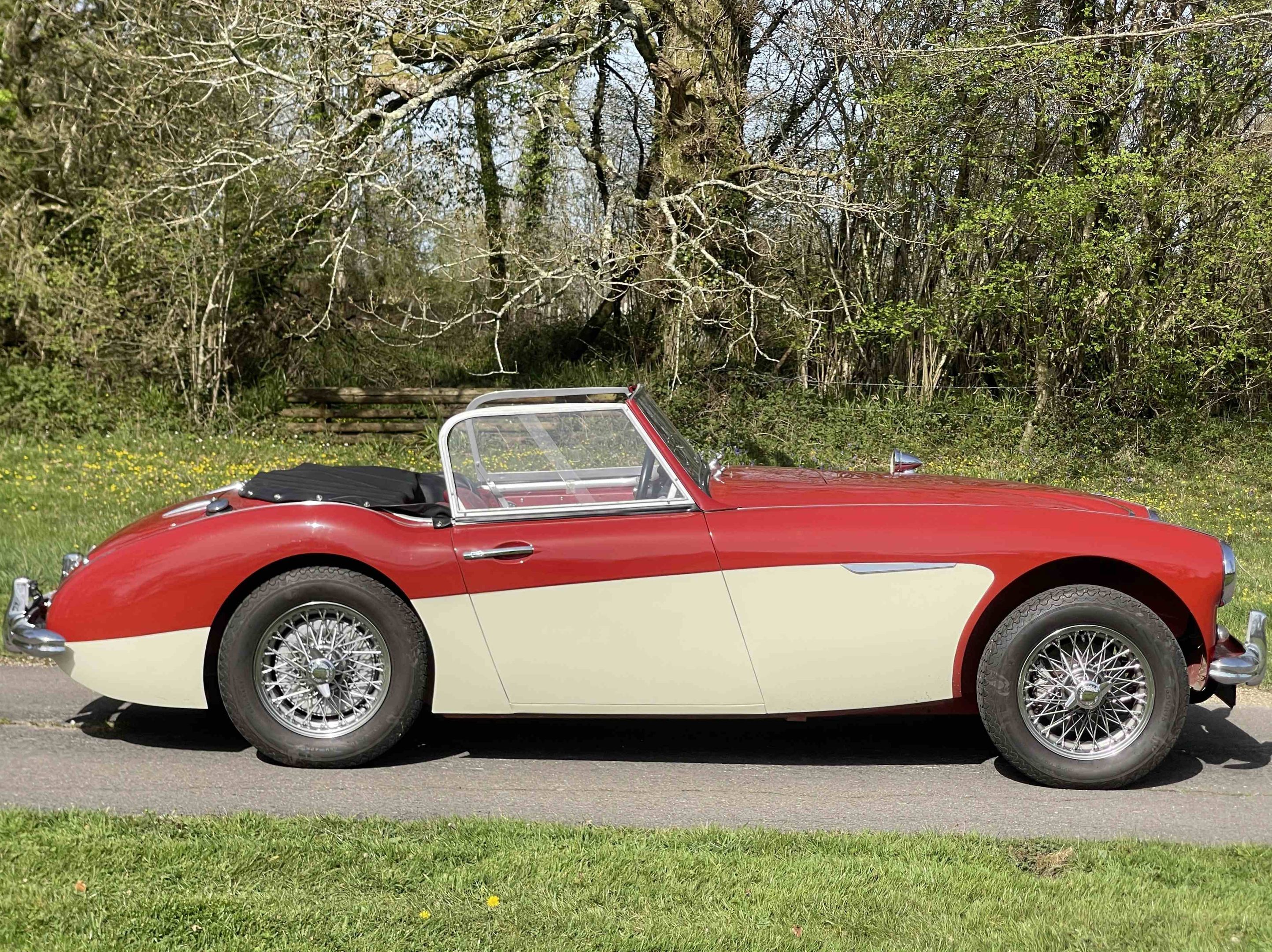 Austin Healey 3000 MK1 LHD, foto 5