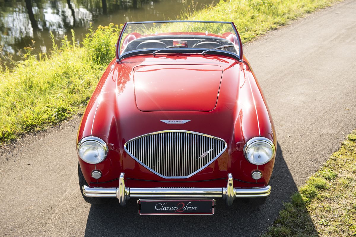Multiple Concours Winner: Stunning Austin Healey 100-4/BN2, foto 1
