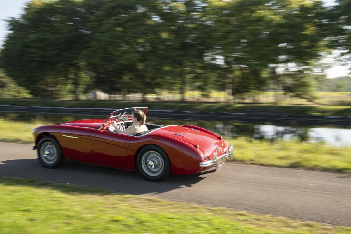 Multiple Concours Winner: Stunning Austin Healey 100-4/BN2, foto 5