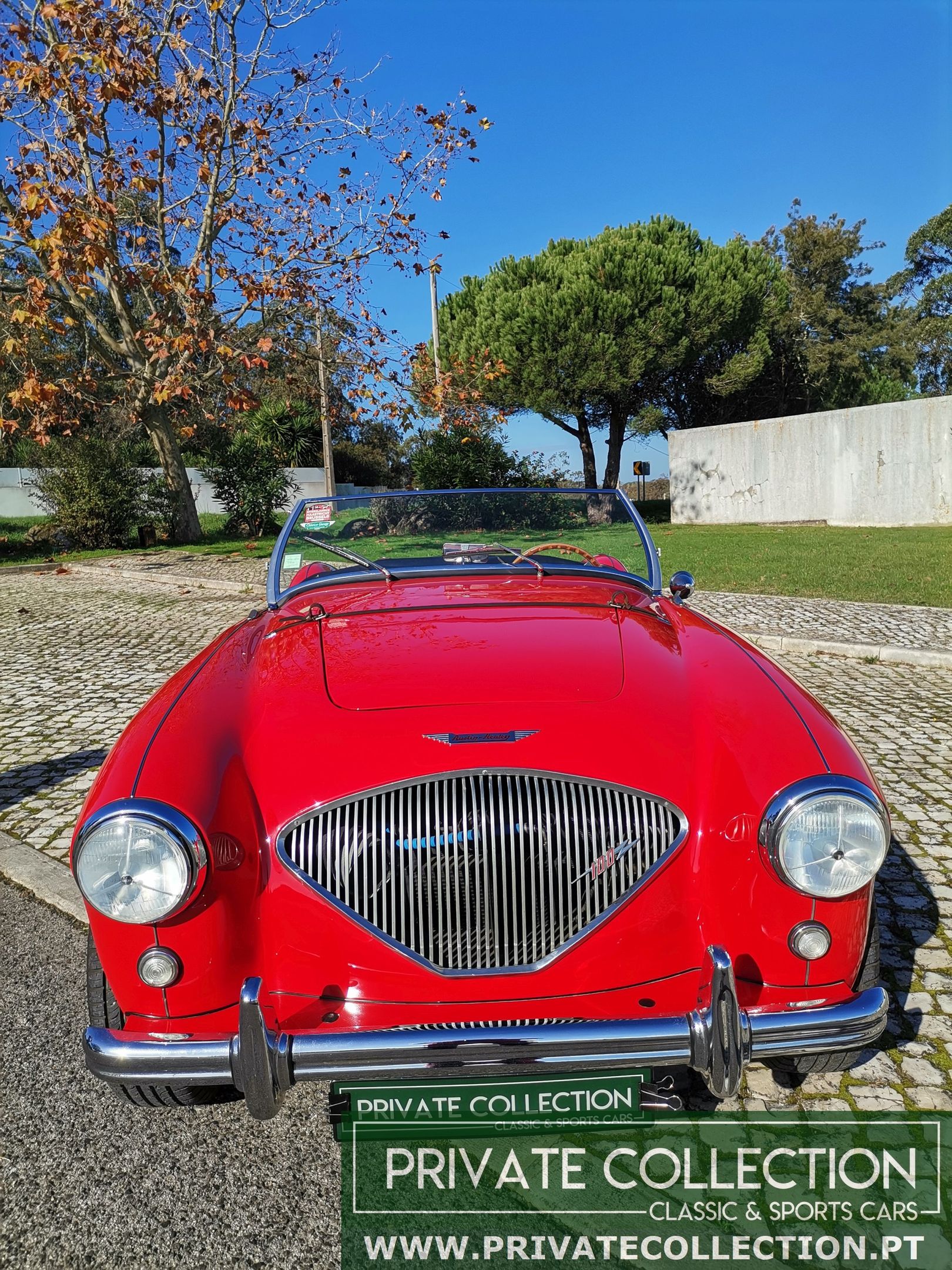 AUSTIN HEALEY 100 BN1 - RESTORED - VERY GOOD CONDITION, foto 2