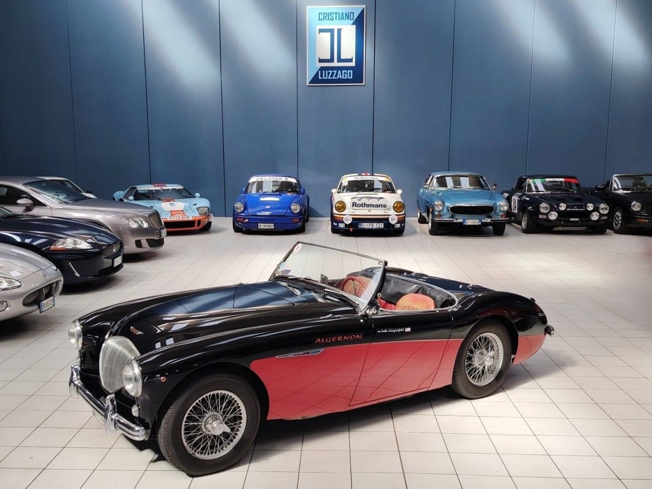 AUSTIN HEALEY 100-4 BN2 1956 1000 miglia eligible, foto 2