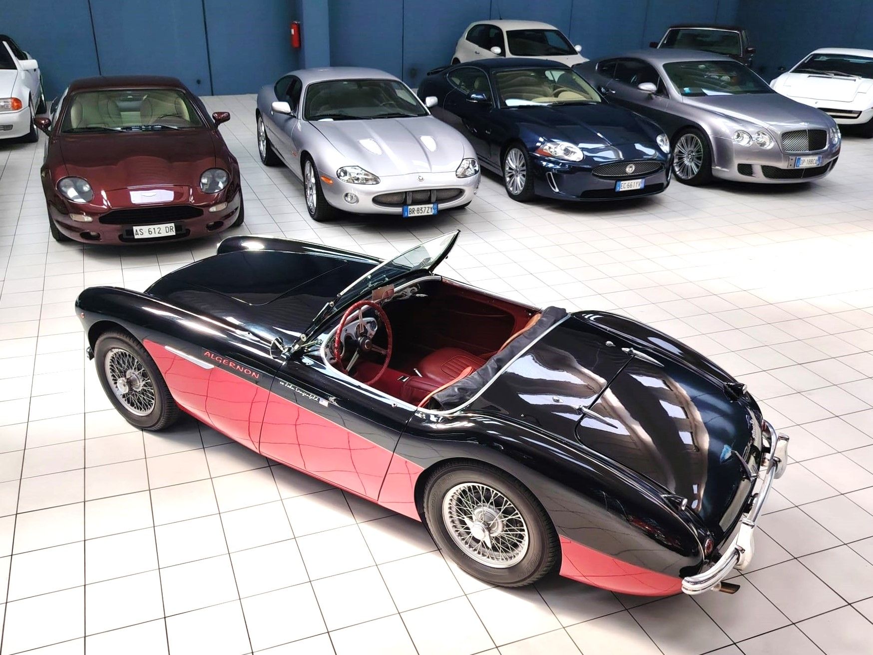 AUSTIN HEALEY 100-4 BN2 1956 1000 miglia eligible, foto 6