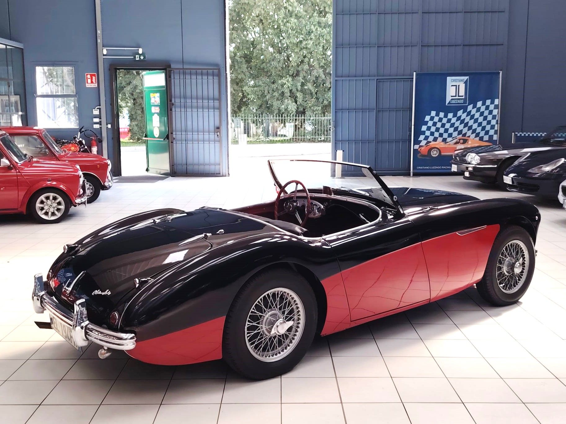 AUSTIN HEALEY 100-4 BN2 1956 1000 miglia eligible, foto 8