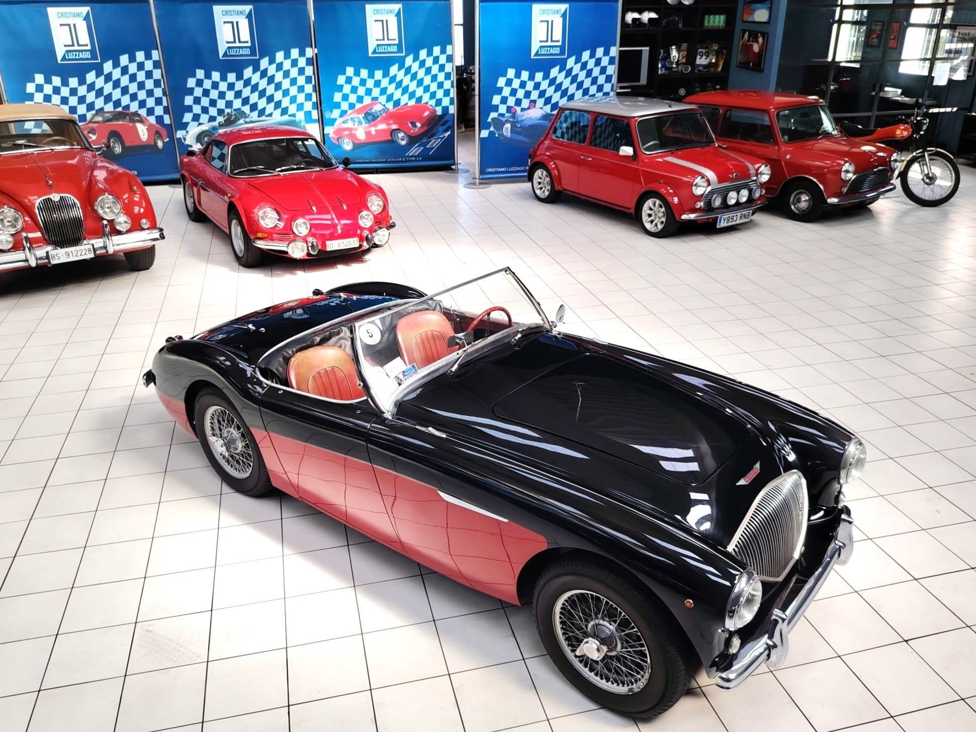 AUSTIN HEALEY 100-4 BN2 1956 1000 miglia eligible, foto 11
