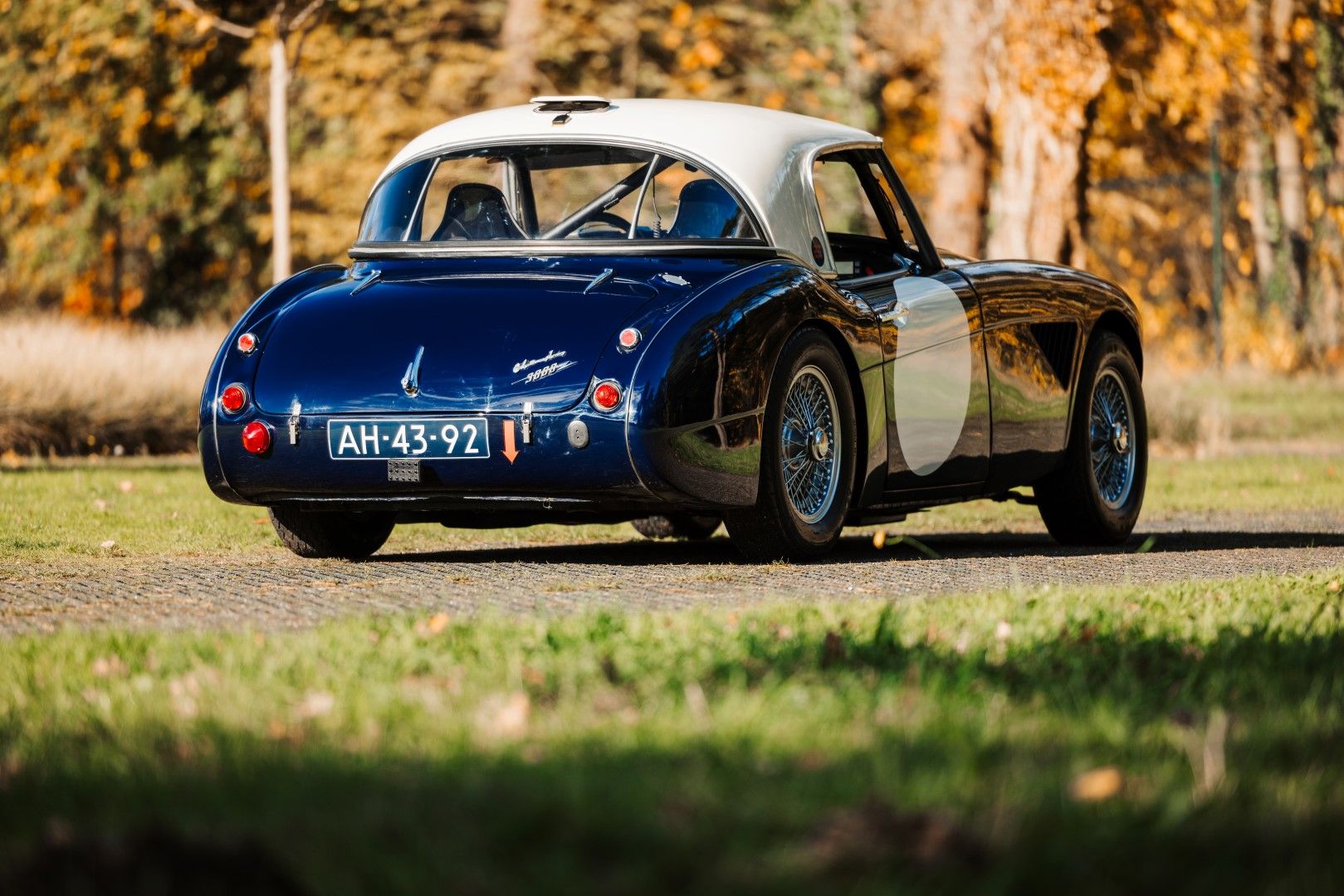 1960 Austin Healey 3000, foto 8