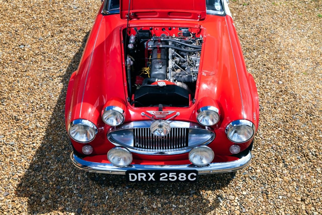 1965 Austin-Healey 3000 Mark 3 (1964 - 1967) Convertible, foto 7