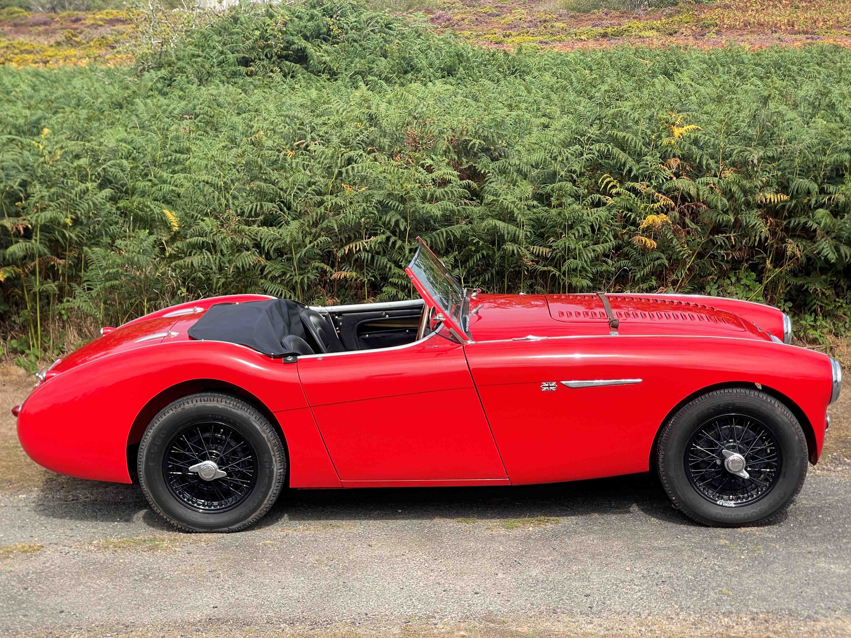 1955 Austin-Healey 100/4 BN1, foto 2