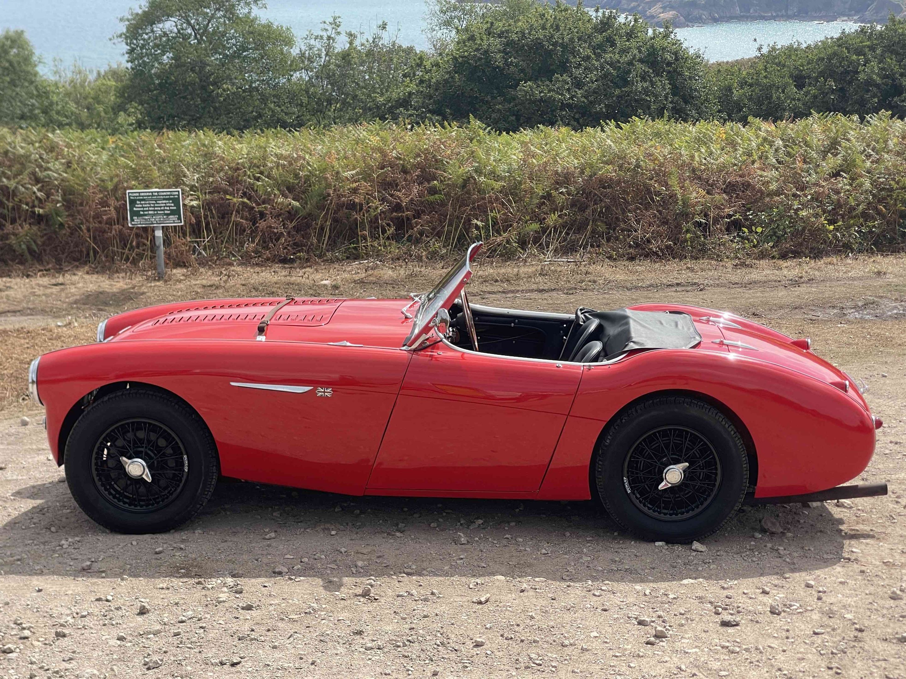 1955 Austin-Healey 100/4 BN1, foto 5