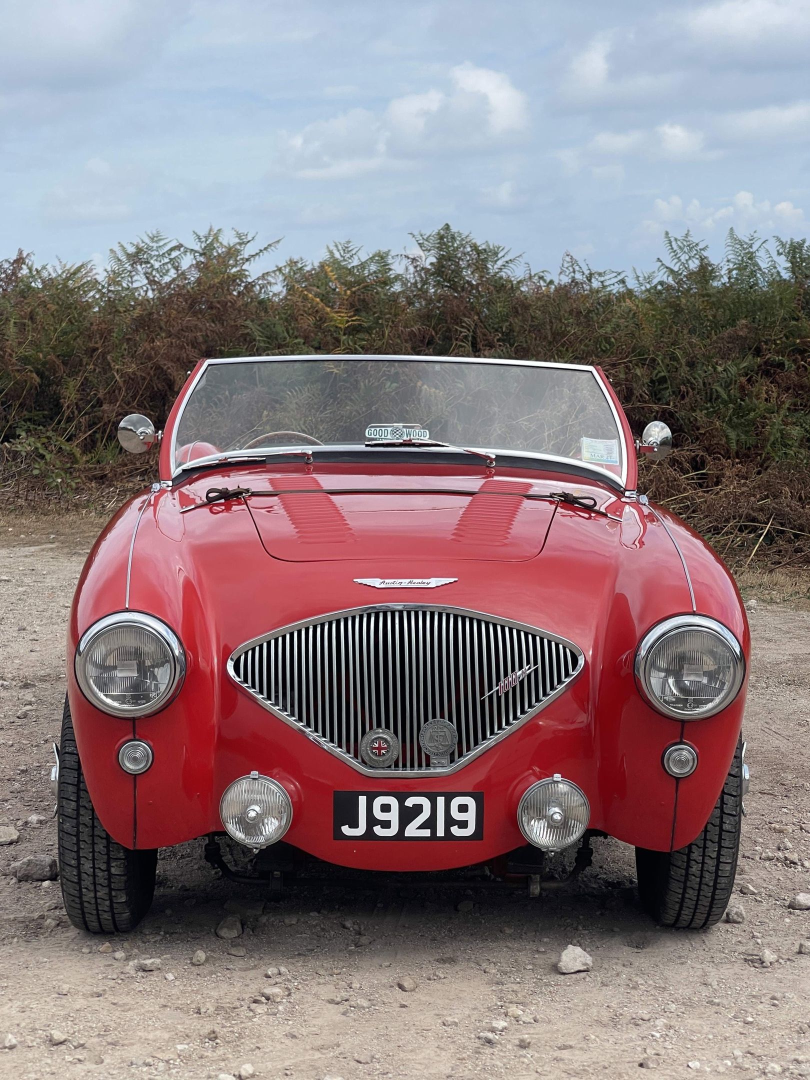1955 Austin-Healey 100/4 BN1, foto 6