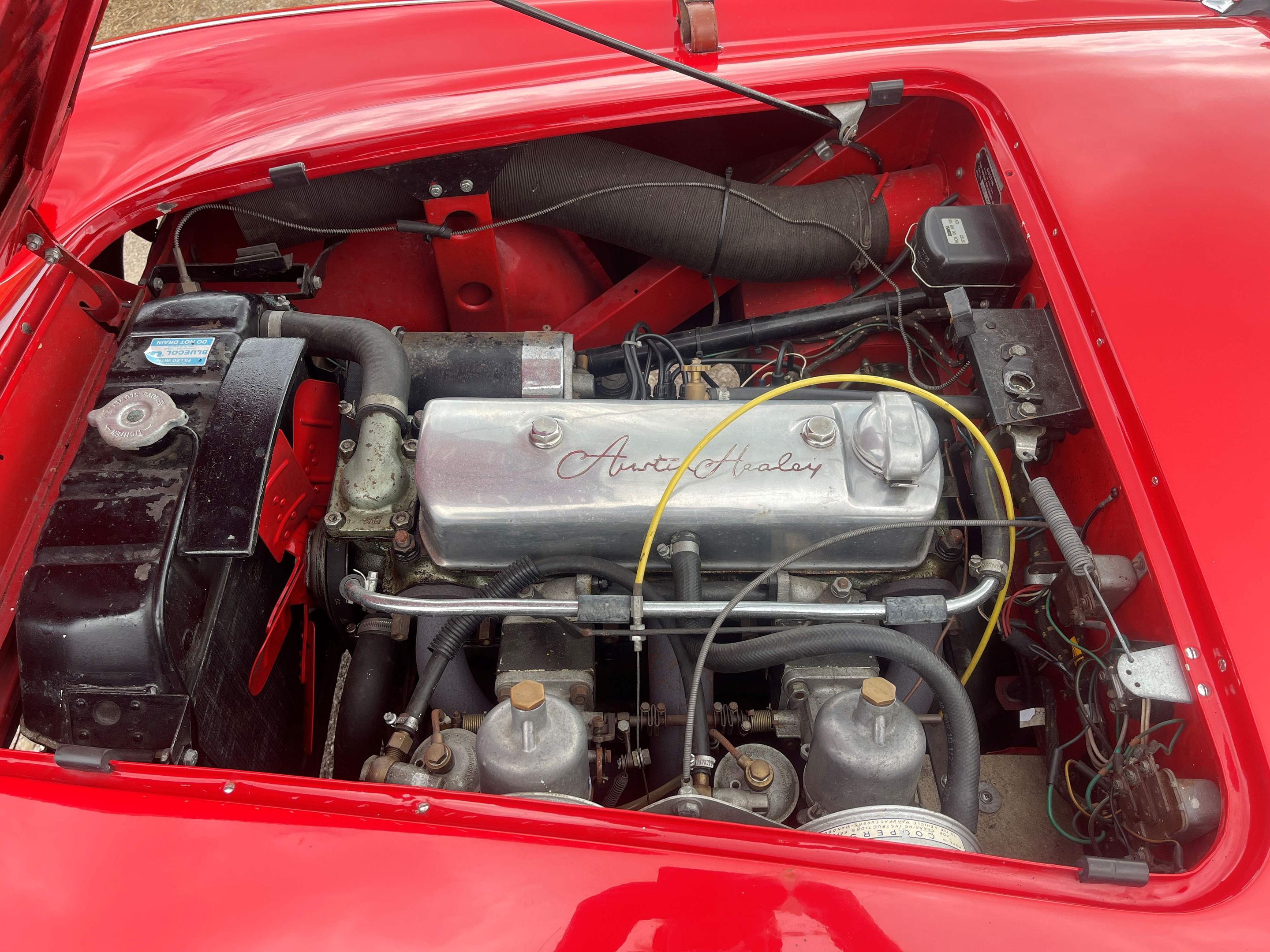 1955 Austin-Healey 100/4 BN1, foto 11
