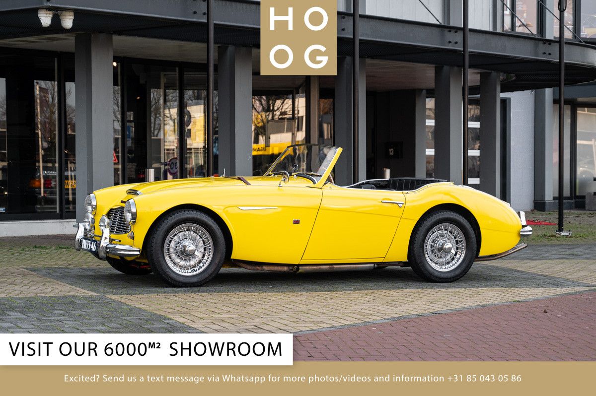 1957 Austin Healey 100 6, foto 1