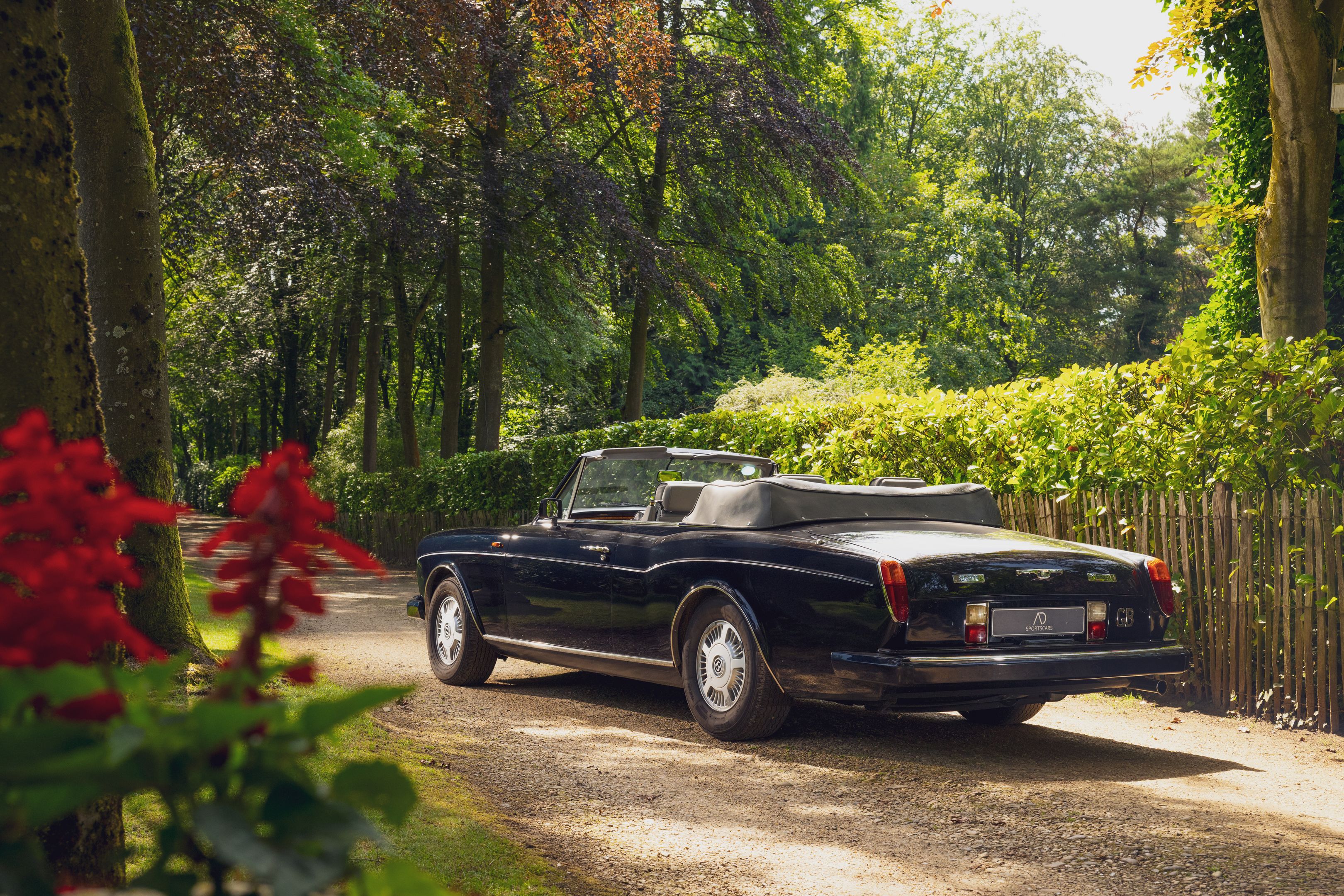 1990 Bentley Continental Convertible | Dealer Maintained, foto 2