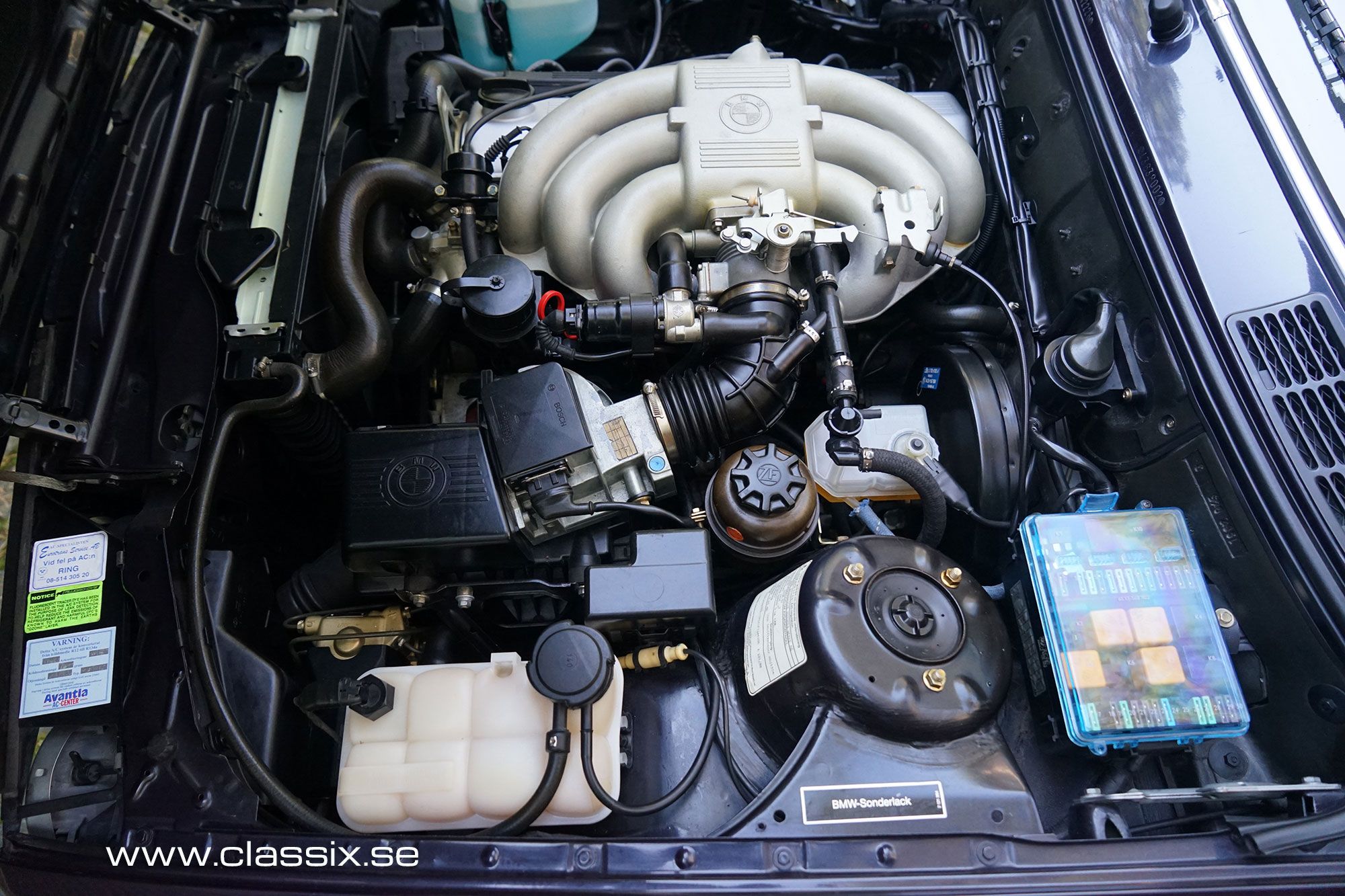 BMW 325i Cabrio 791 Variant, special order colour, foto 7