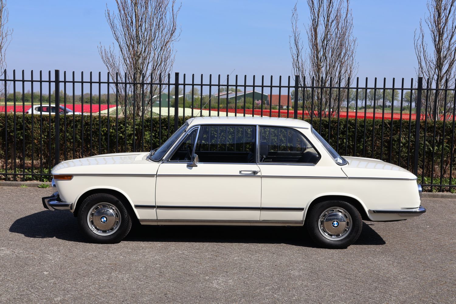 1972 BMW 2002, foto 5