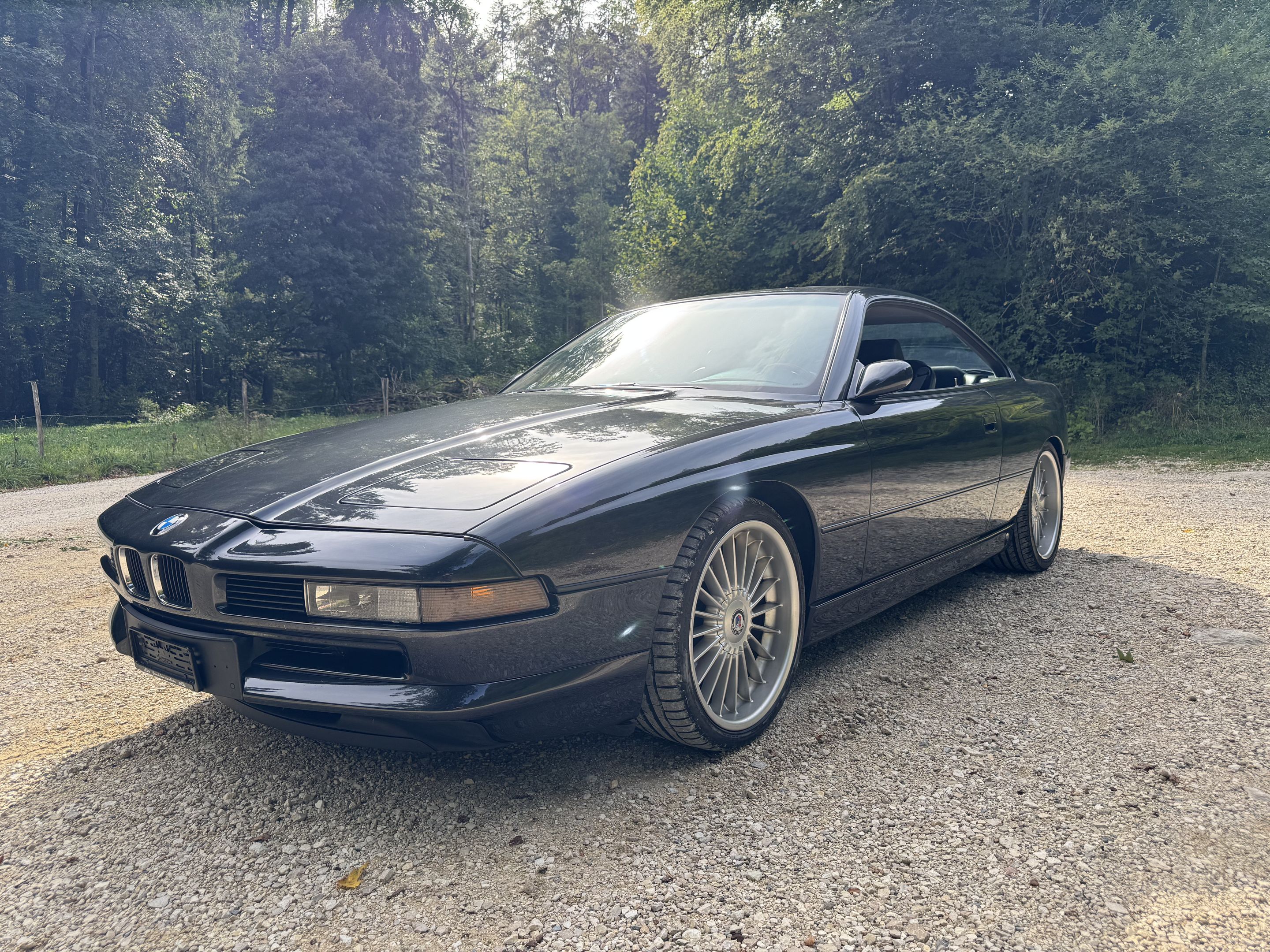 BMW 850i (E31) 5.0 V12 - 1991 - BVM 6, foto 1