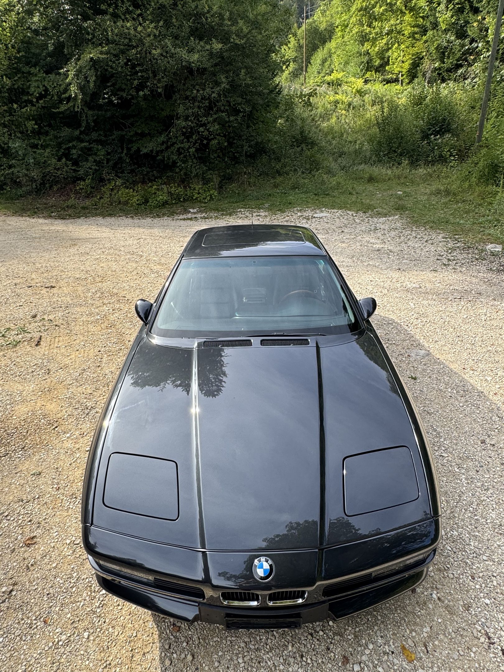 BMW 850i (E31) 5.0 V12 - 1991 - BVM 6, foto 9