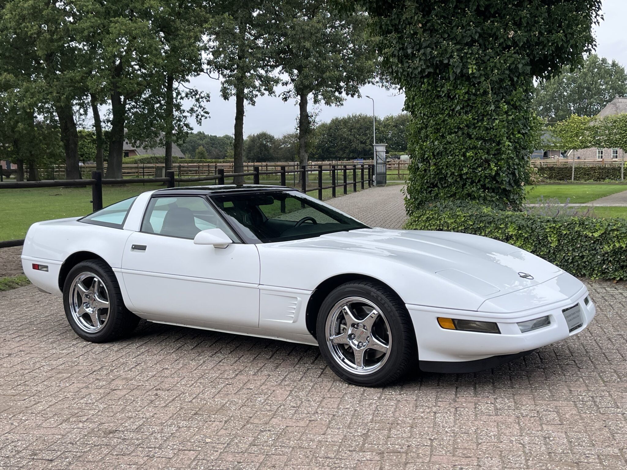 1996 Chevrolet Corvette C4 Coupe low kms , like new, foto 1