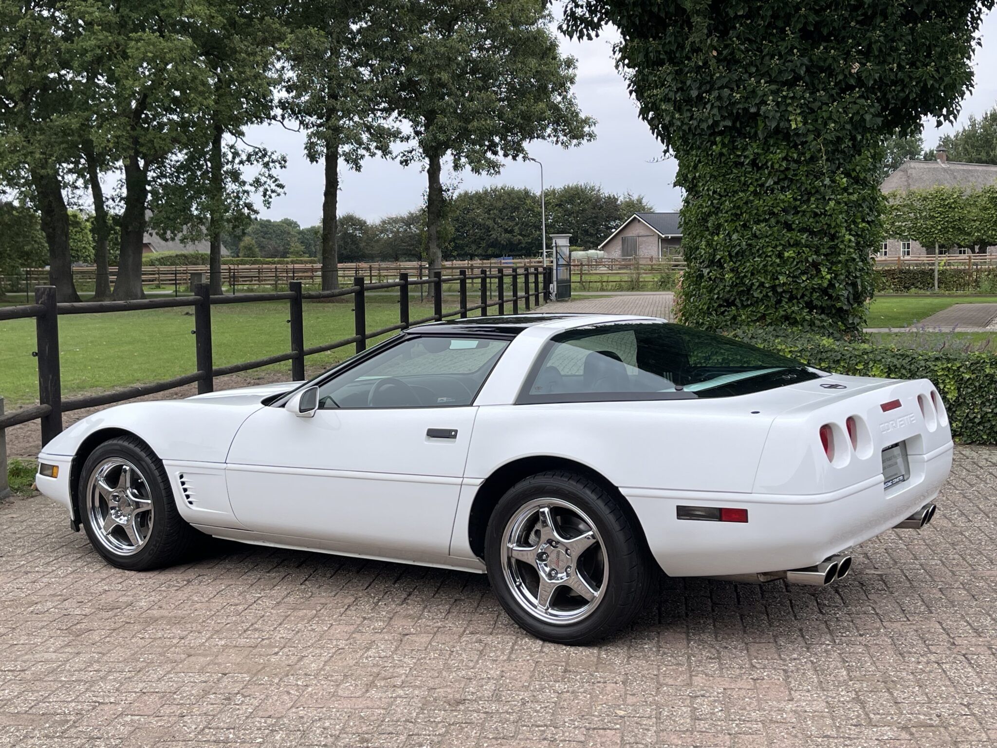 1996 Chevrolet Corvette C4 Coupe low kms , like new, foto 9