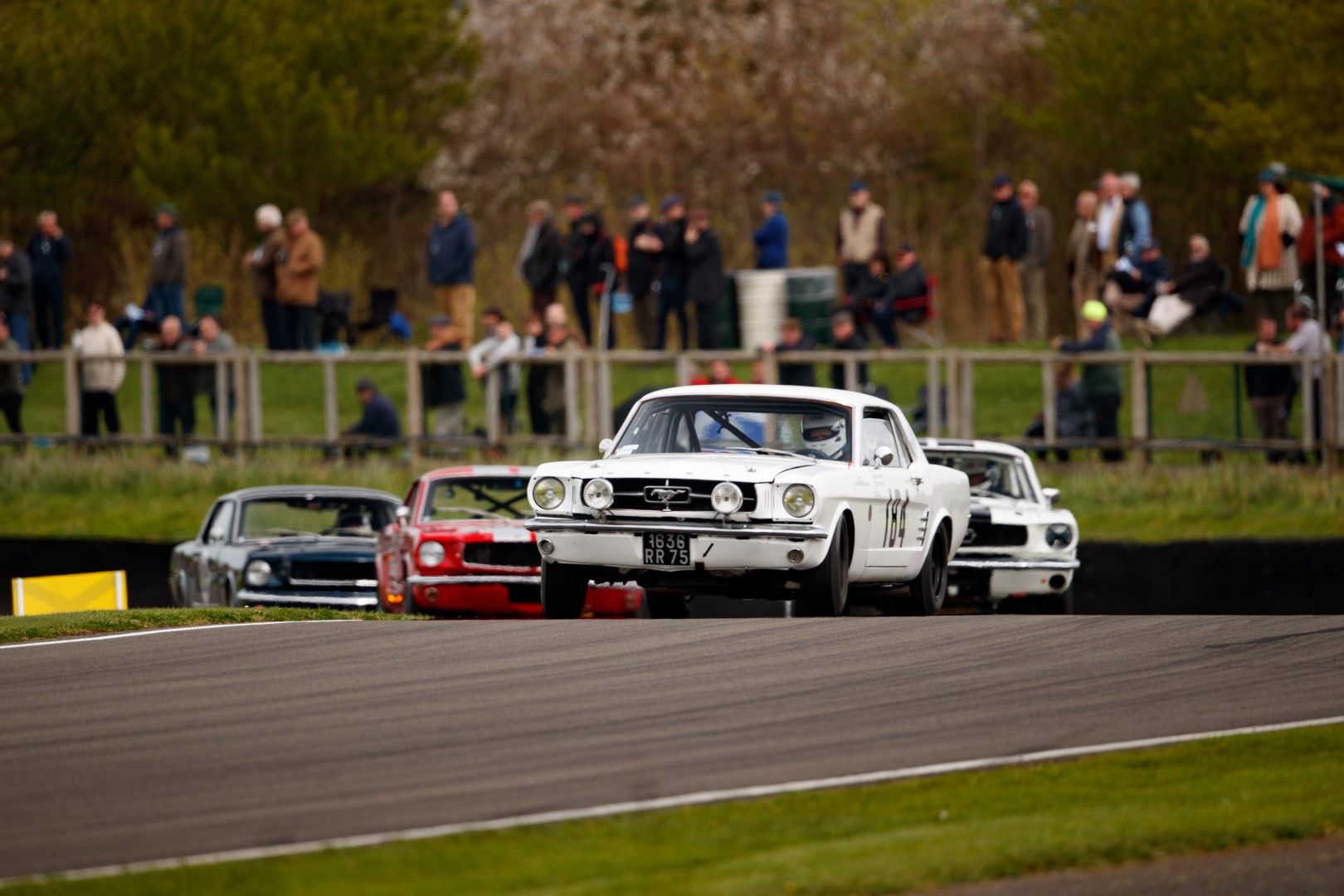 1965 Ford Mustang Race Car, foto 2