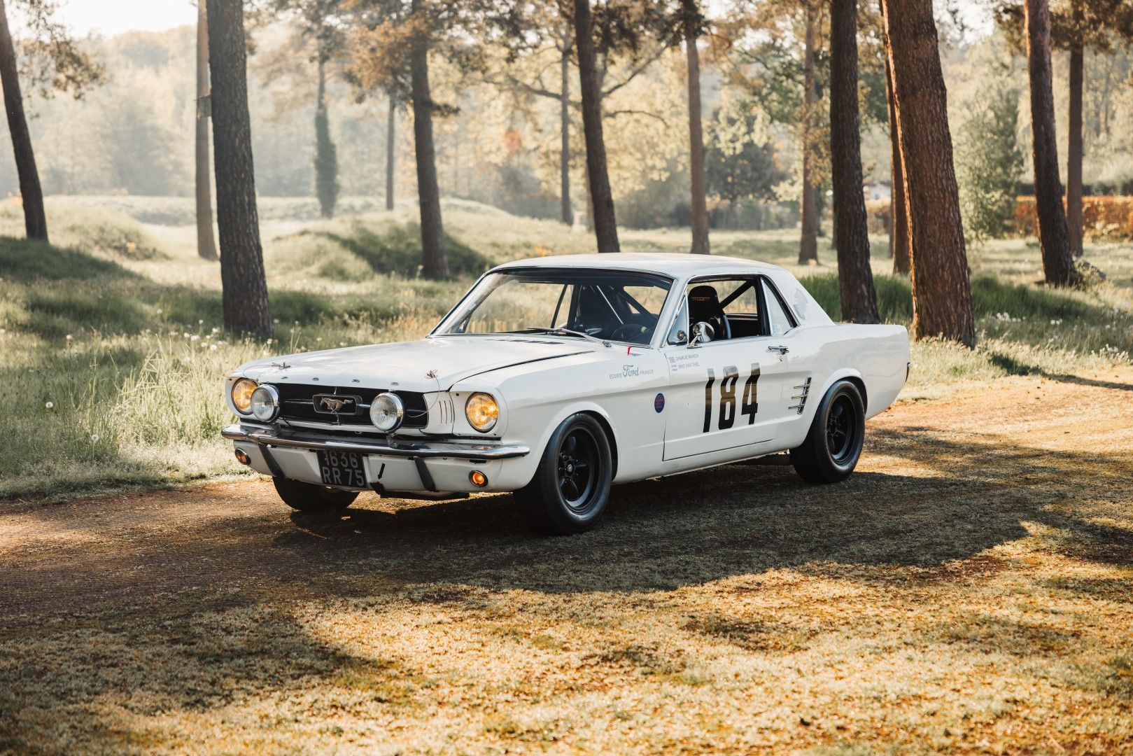 1965 Ford Mustang Race Car, foto 4