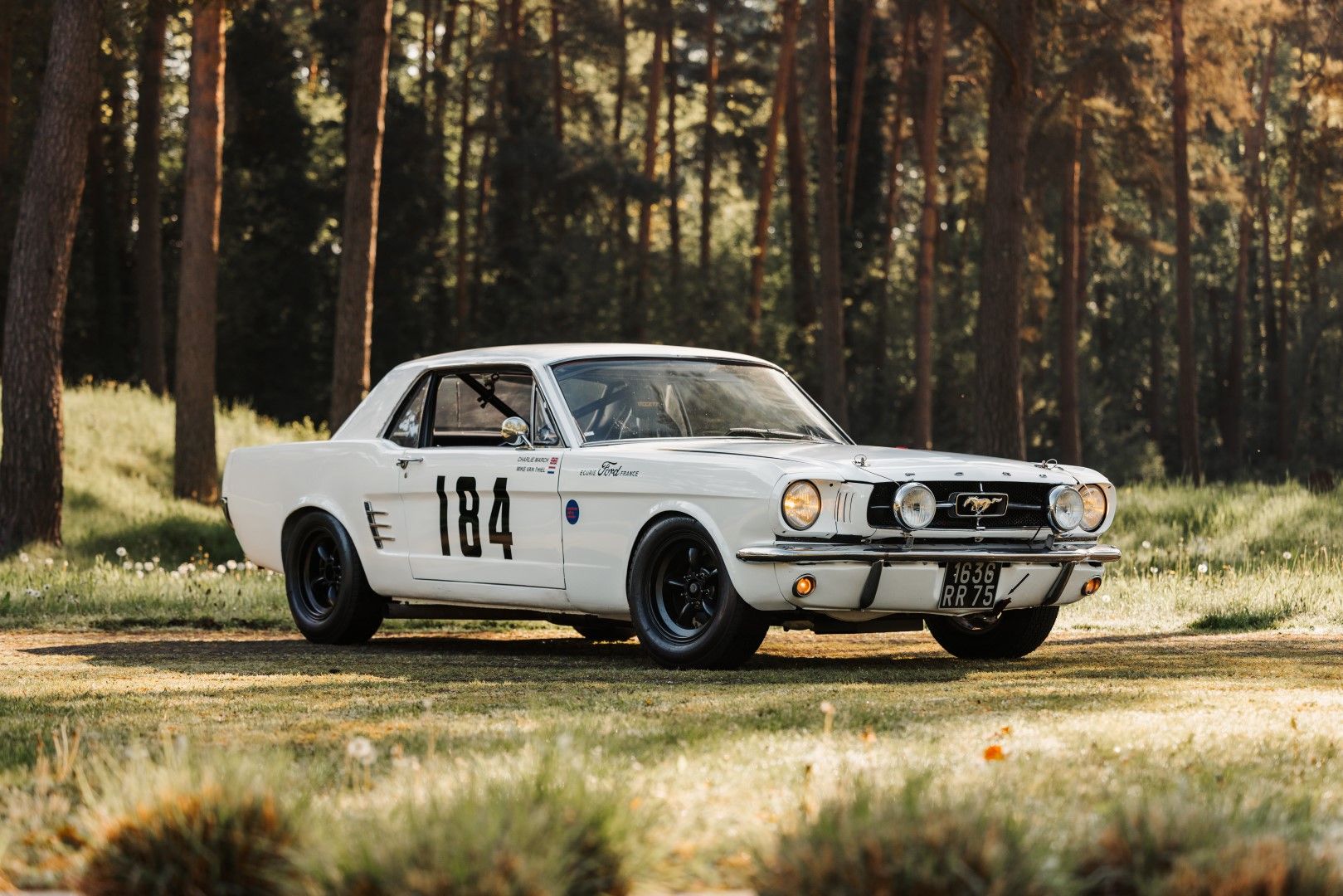 1965 Ford Mustang Race Car, foto 5