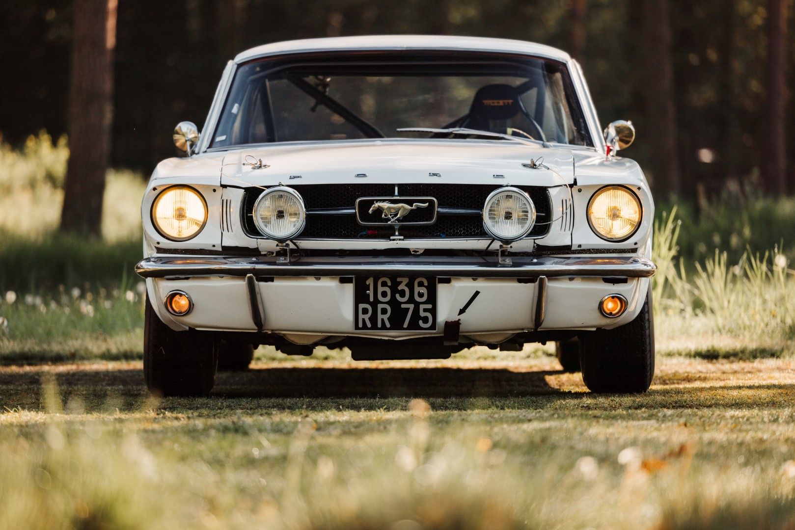 1965 Ford Mustang Race Car, foto 6