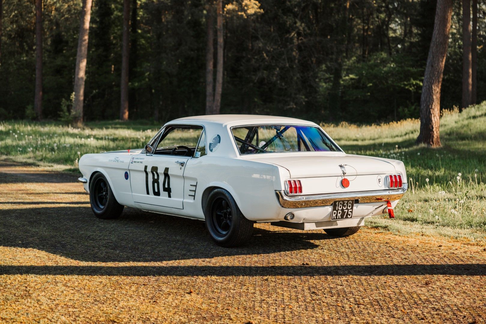 1965 Ford Mustang Race Car, foto 8
