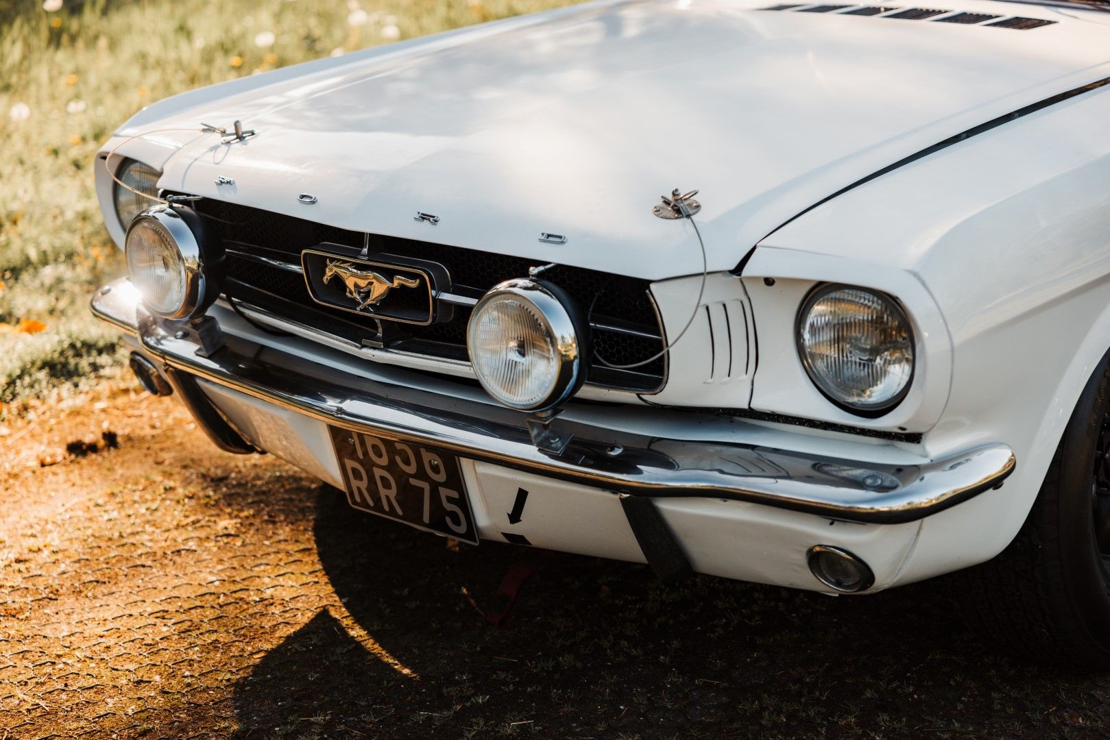 1965 Ford Mustang Race Car, foto 9