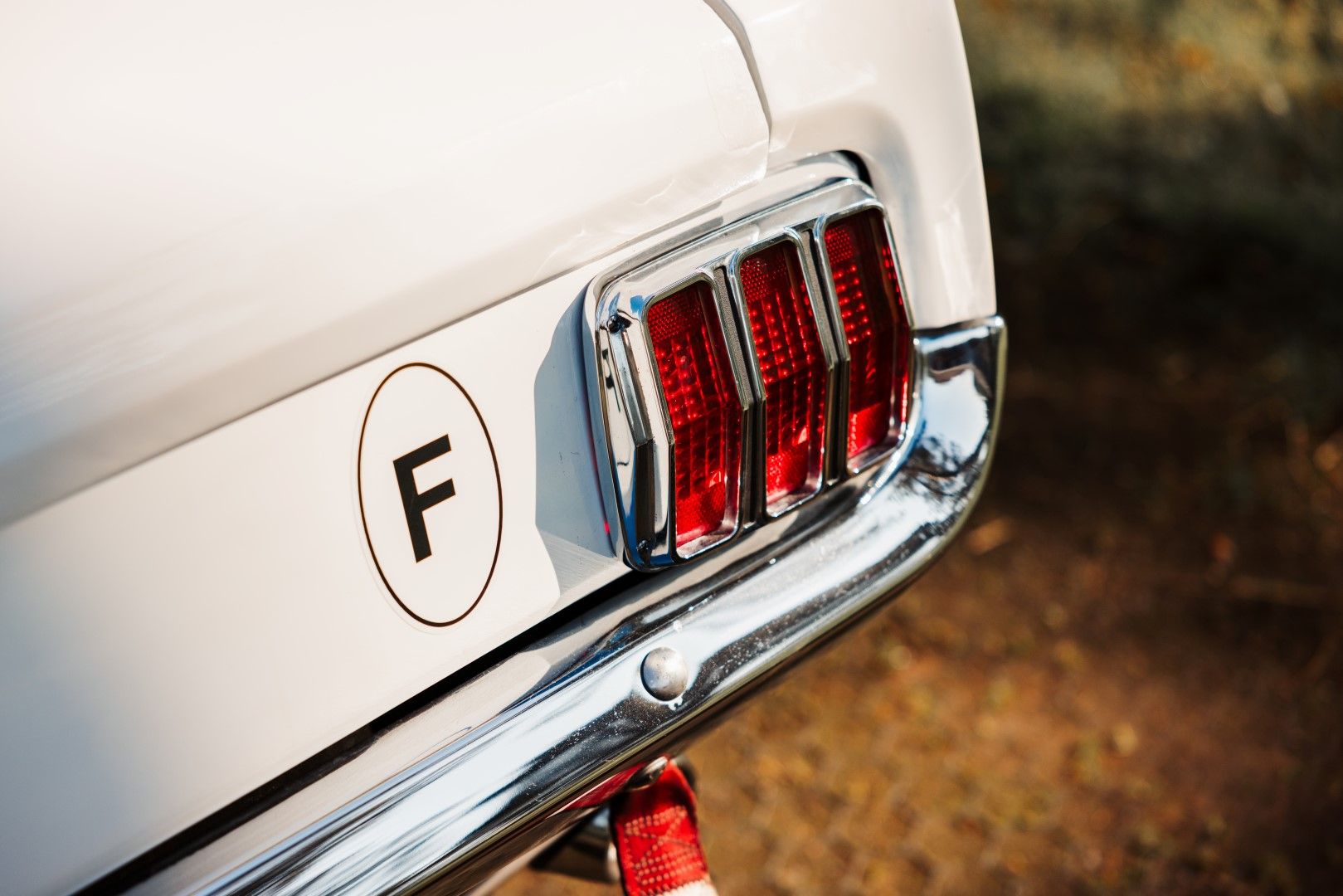 1965 Ford Mustang Race Car, foto 10
