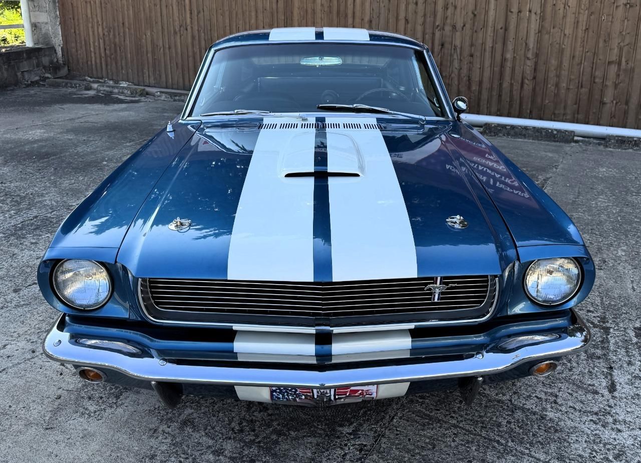 1965 FORD Mustang SHELBY GT 350, foto 5