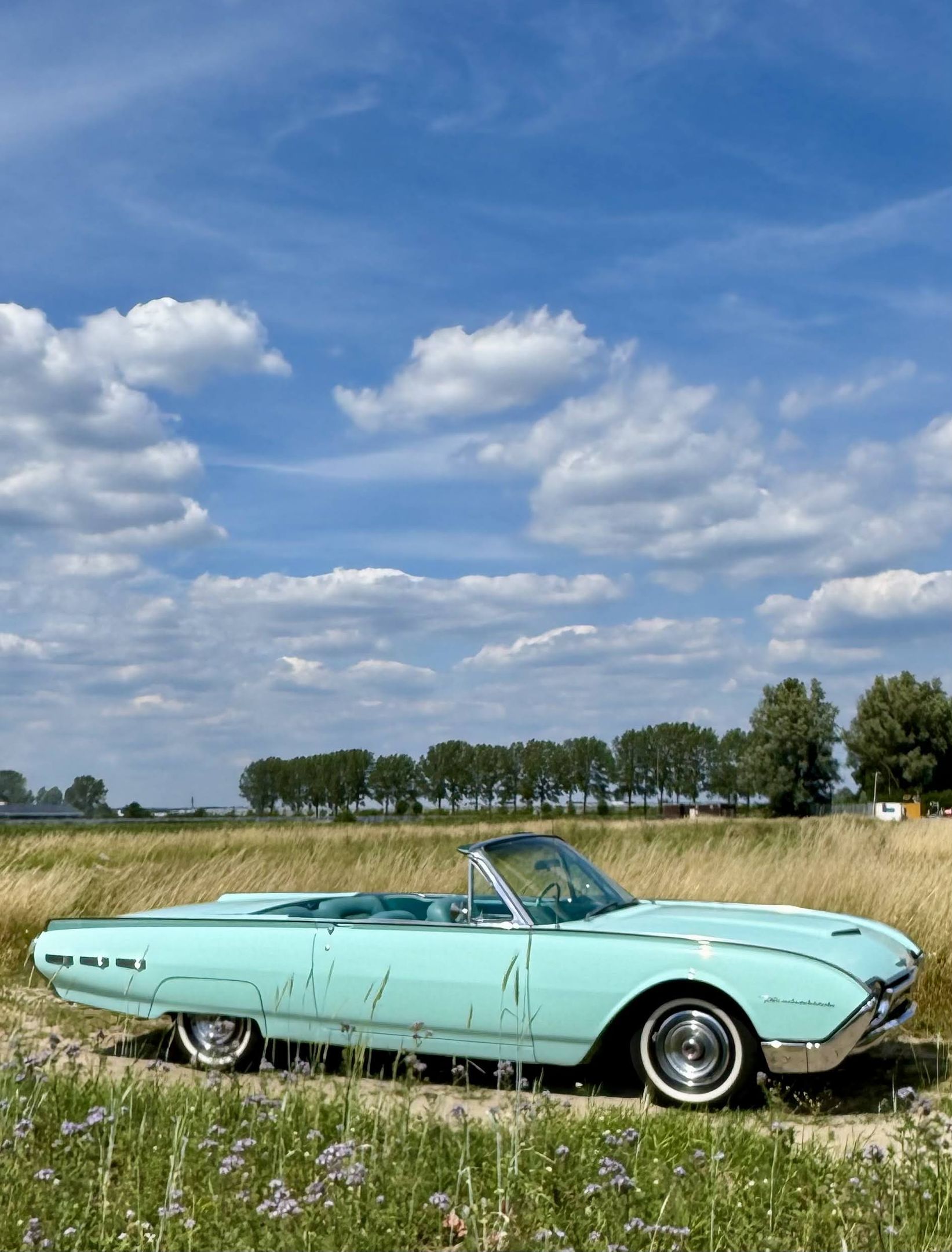 1962 Ford Thunderbird, foto 8