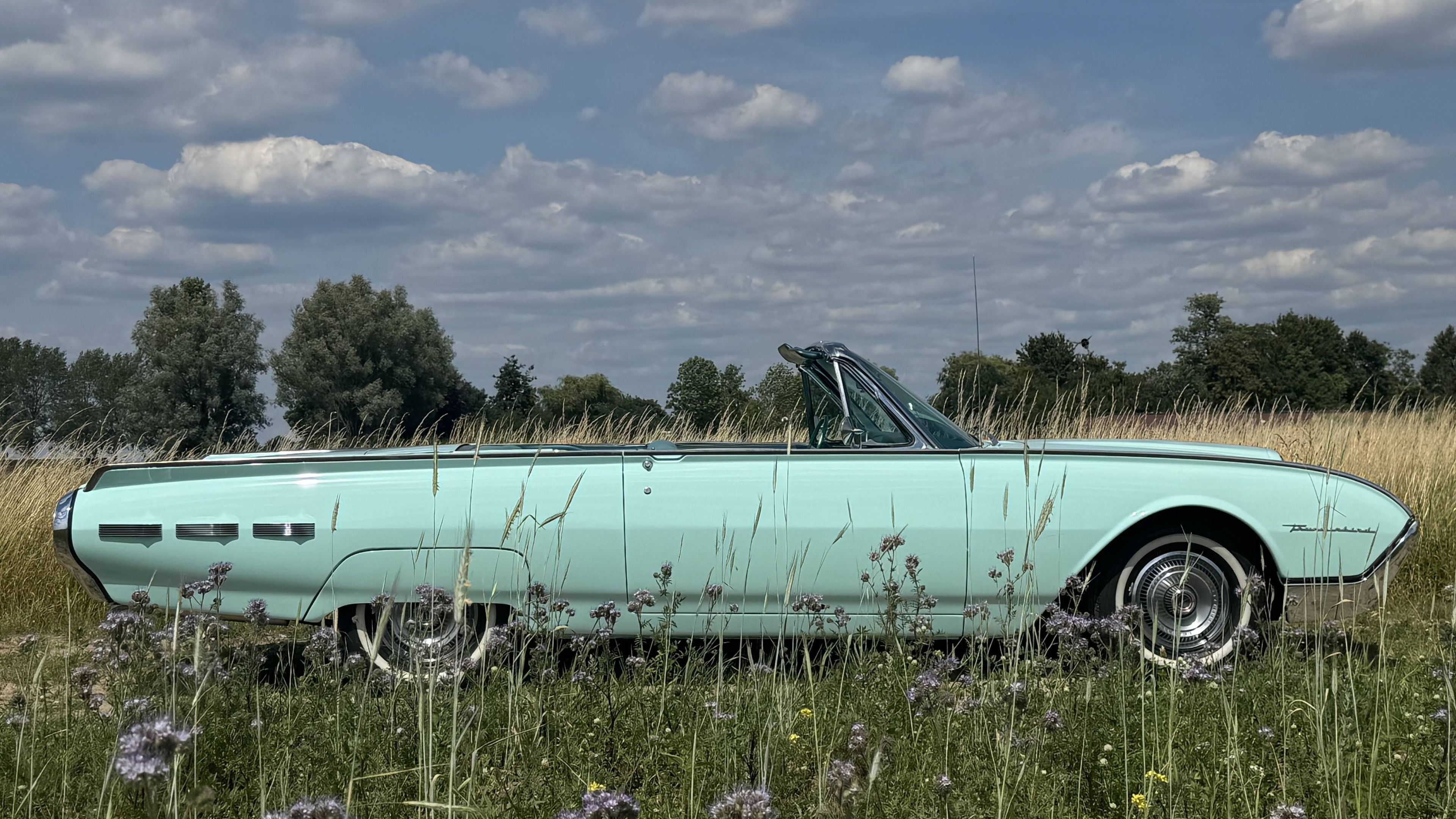 1962 Ford Thunderbird, foto 9