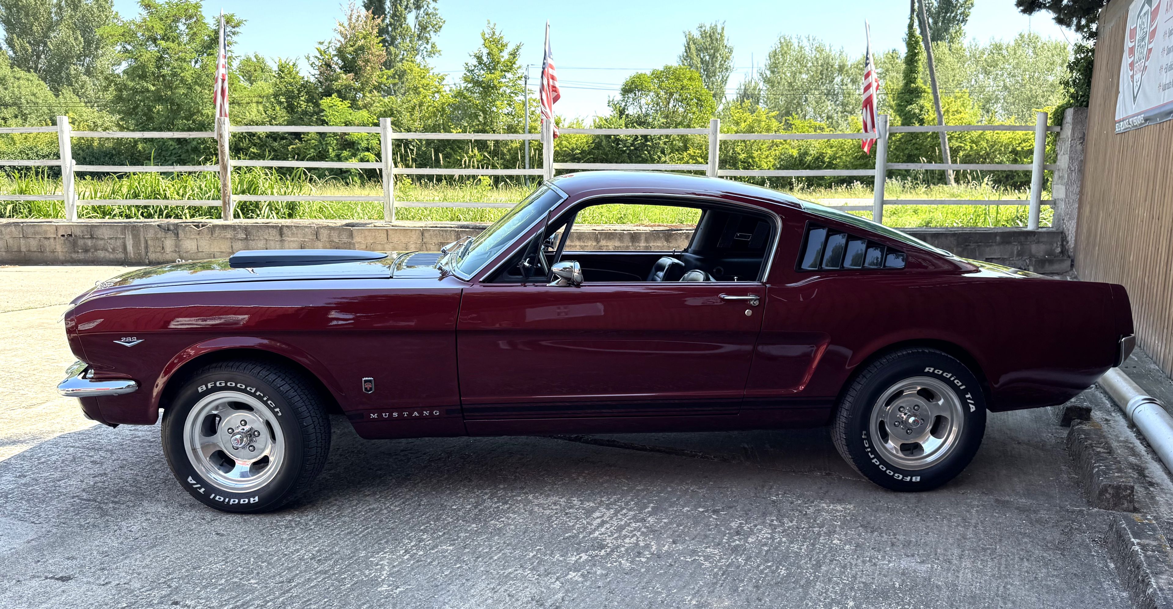 1965 Ford Mustang 1st Gen (1965-1966) (1965 - 1966), foto 2