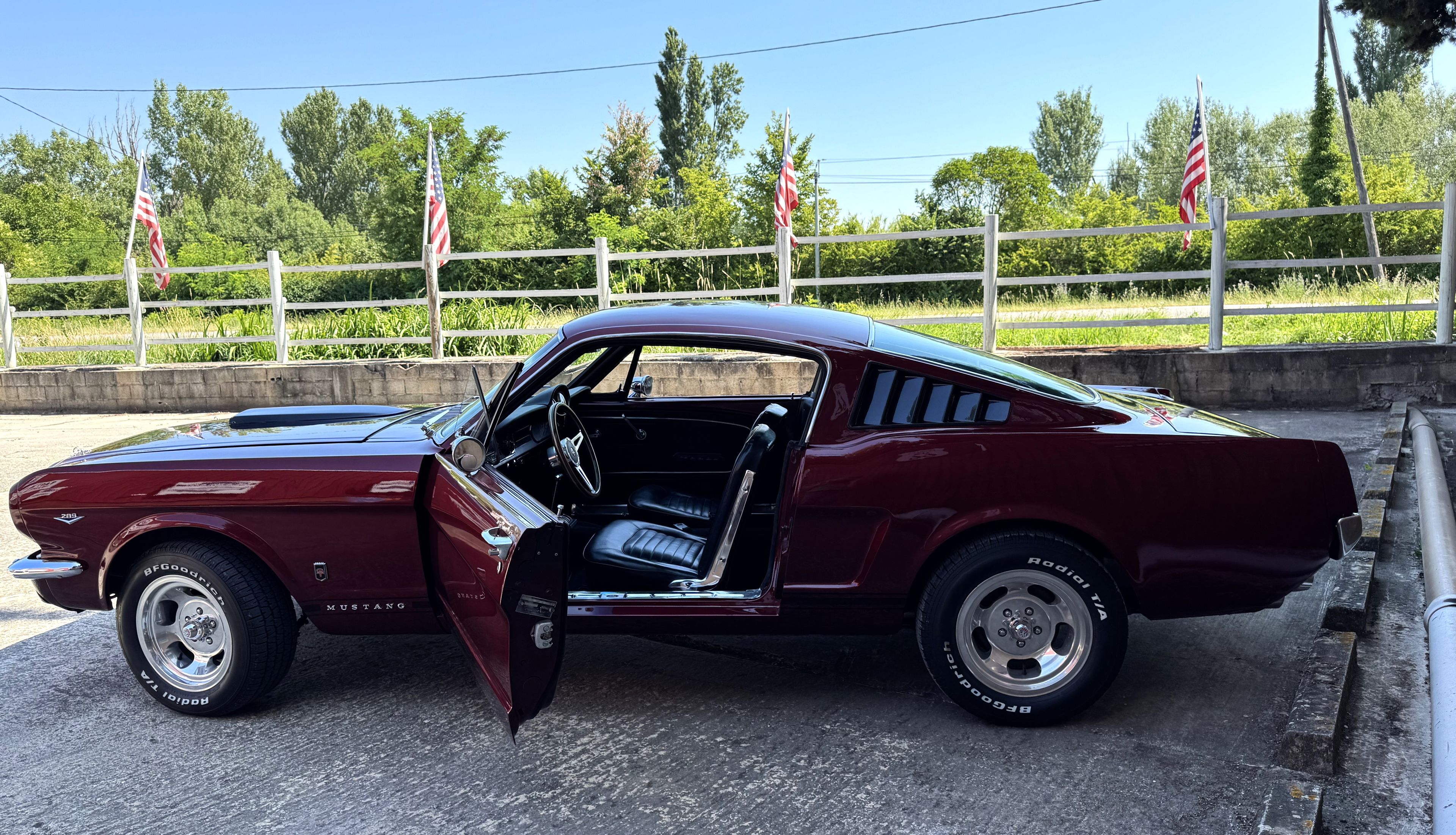1965 Ford Mustang 1st Gen (1965-1966) (1965 - 1966), foto 11