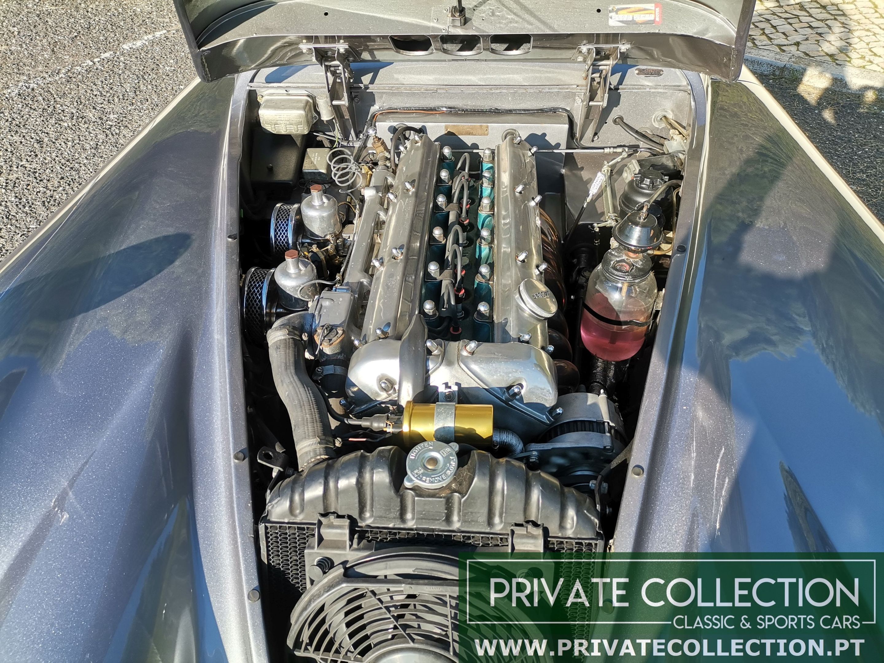 1956 Jaguar XK140 3.4 SE FHC - Concours Condition, foto 7