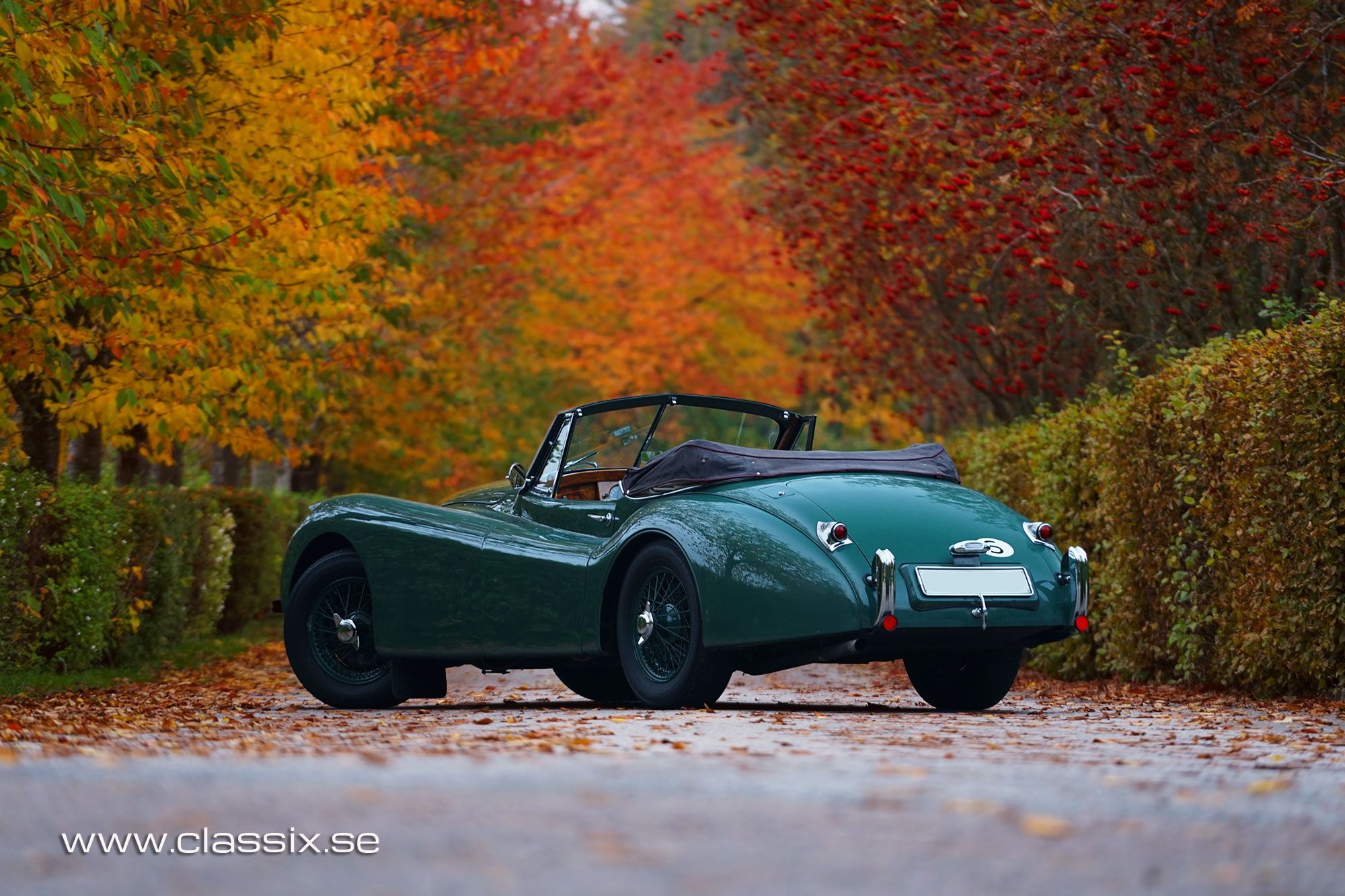 1954 Jaguar XK120 DHC, five speed, foto 1