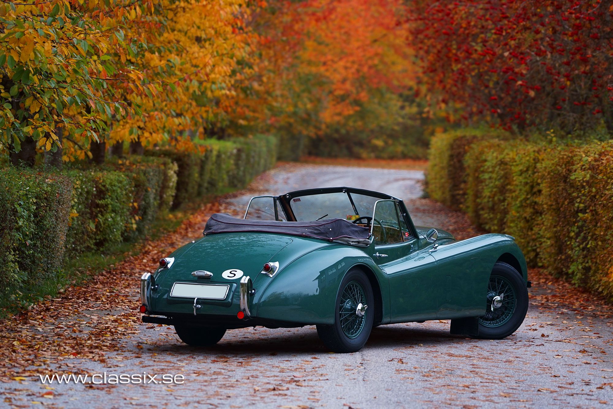 1954 Jaguar XK120 DHC, five speed, foto 6
