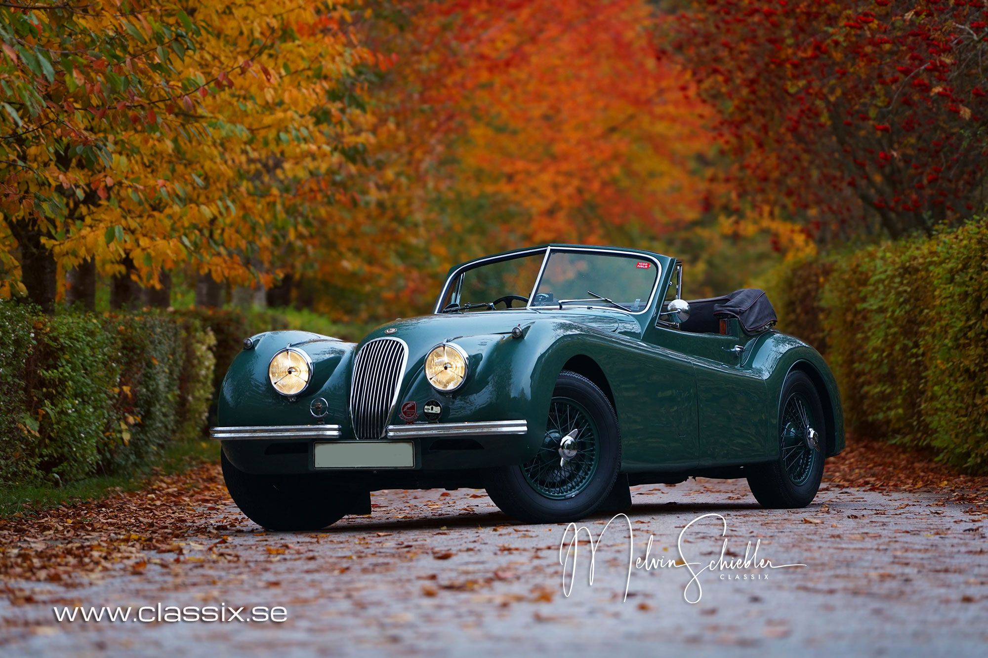 1954 Jaguar XK120 DHC, five speed, foto 7