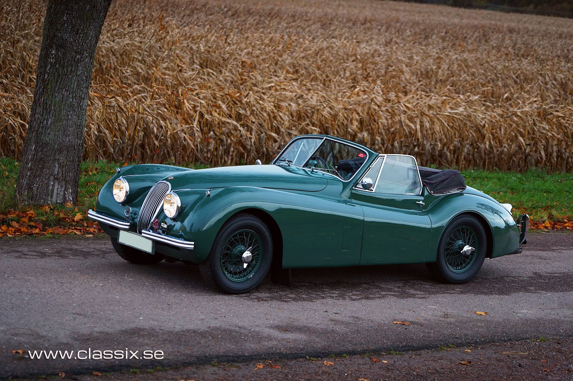 1954 Jaguar XK120 DHC, five speed, foto 9