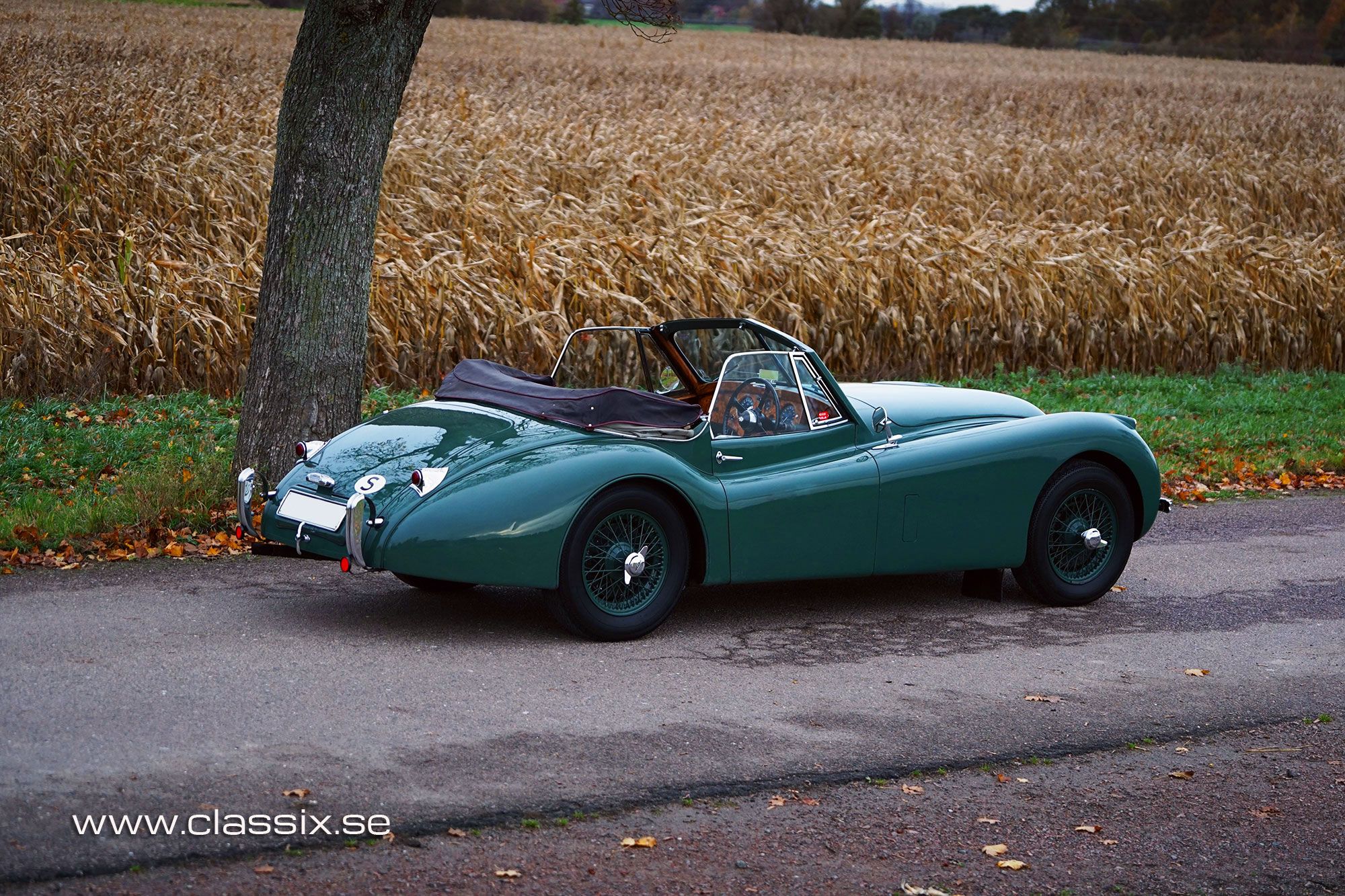 1954 Jaguar XK120 DHC, five speed, foto 10