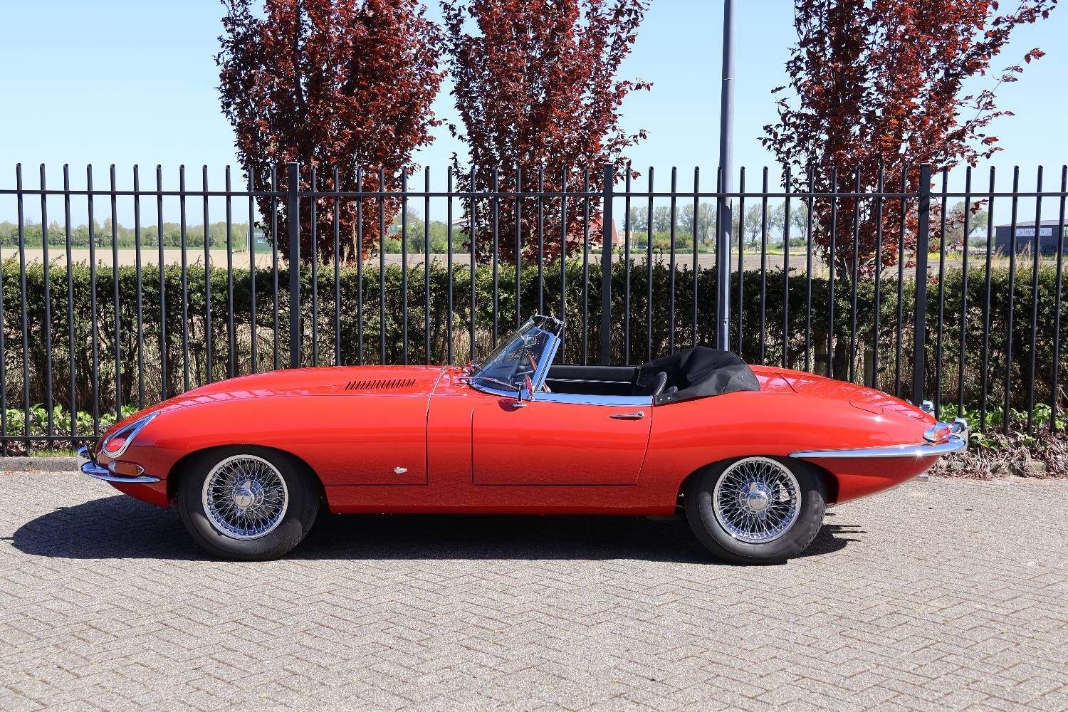 1961 Jaguar E-Type Series 1 (1961 - 1968) OTS OBL, foto 5