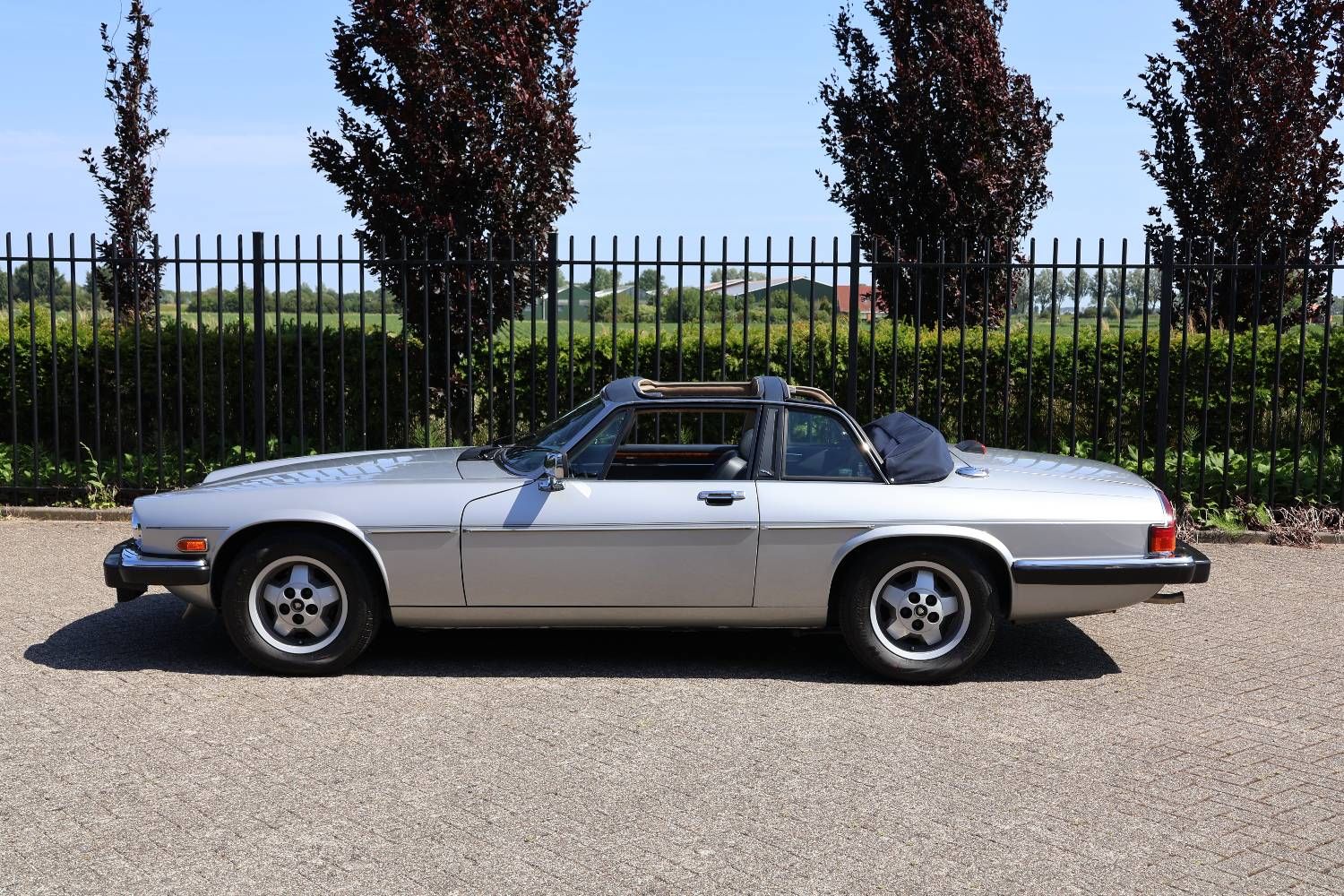 Jaguar XJS-C, foto 5