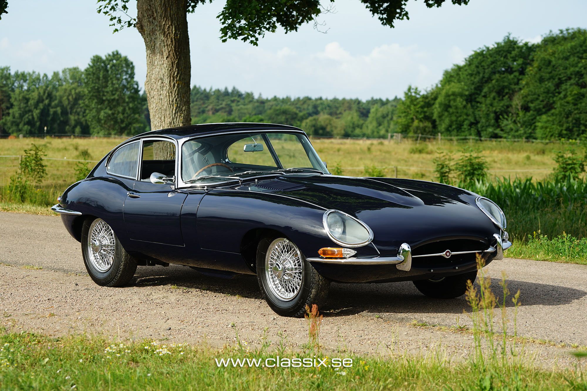 1965 Jaguar E-Type Series 1 FHC Coupe Right hand drive, foto 2