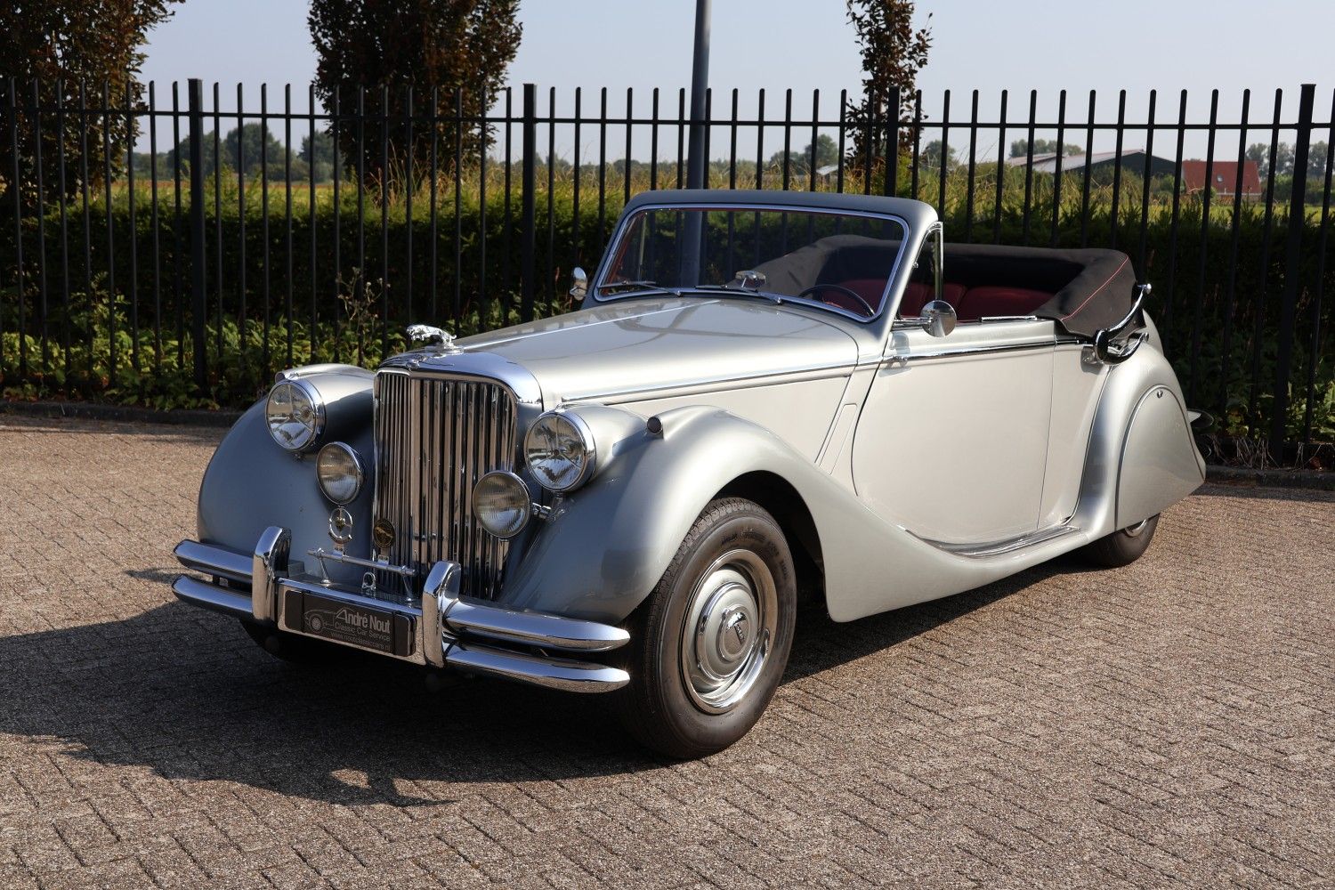 1951 Jaguar Mark V 3.5 LHD convertible, foto 1