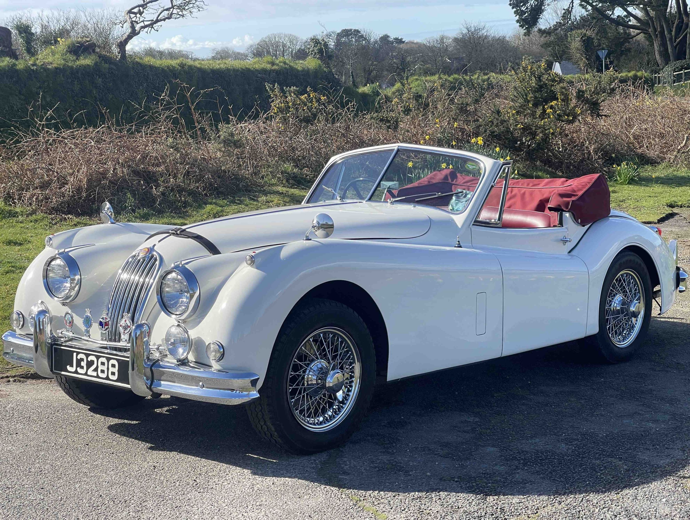 Jaguar XK140 SE DHC, foto 1